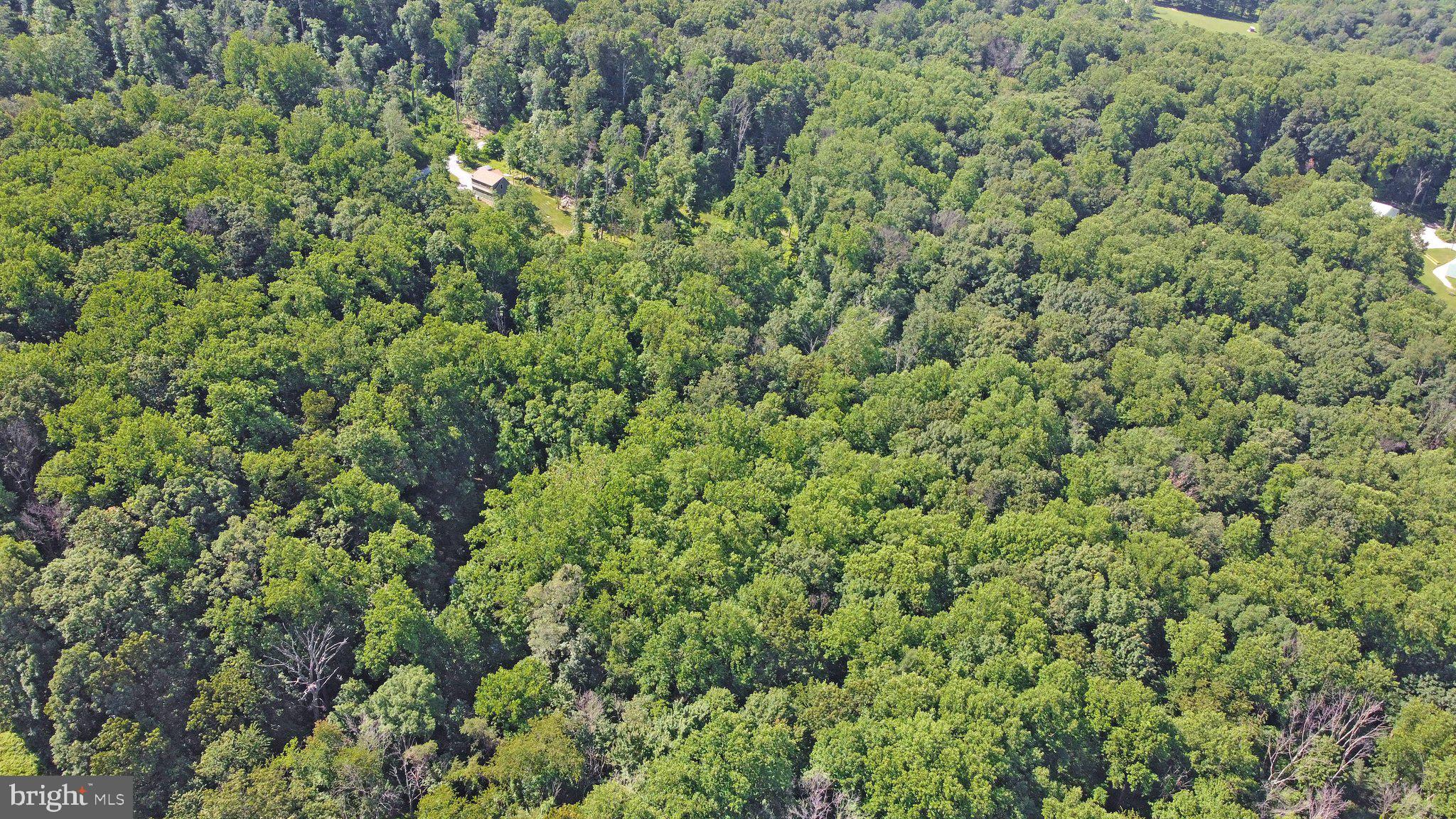 7060 Gilardi Road Boonsboro, MD 21713 - Photo 31 of 95