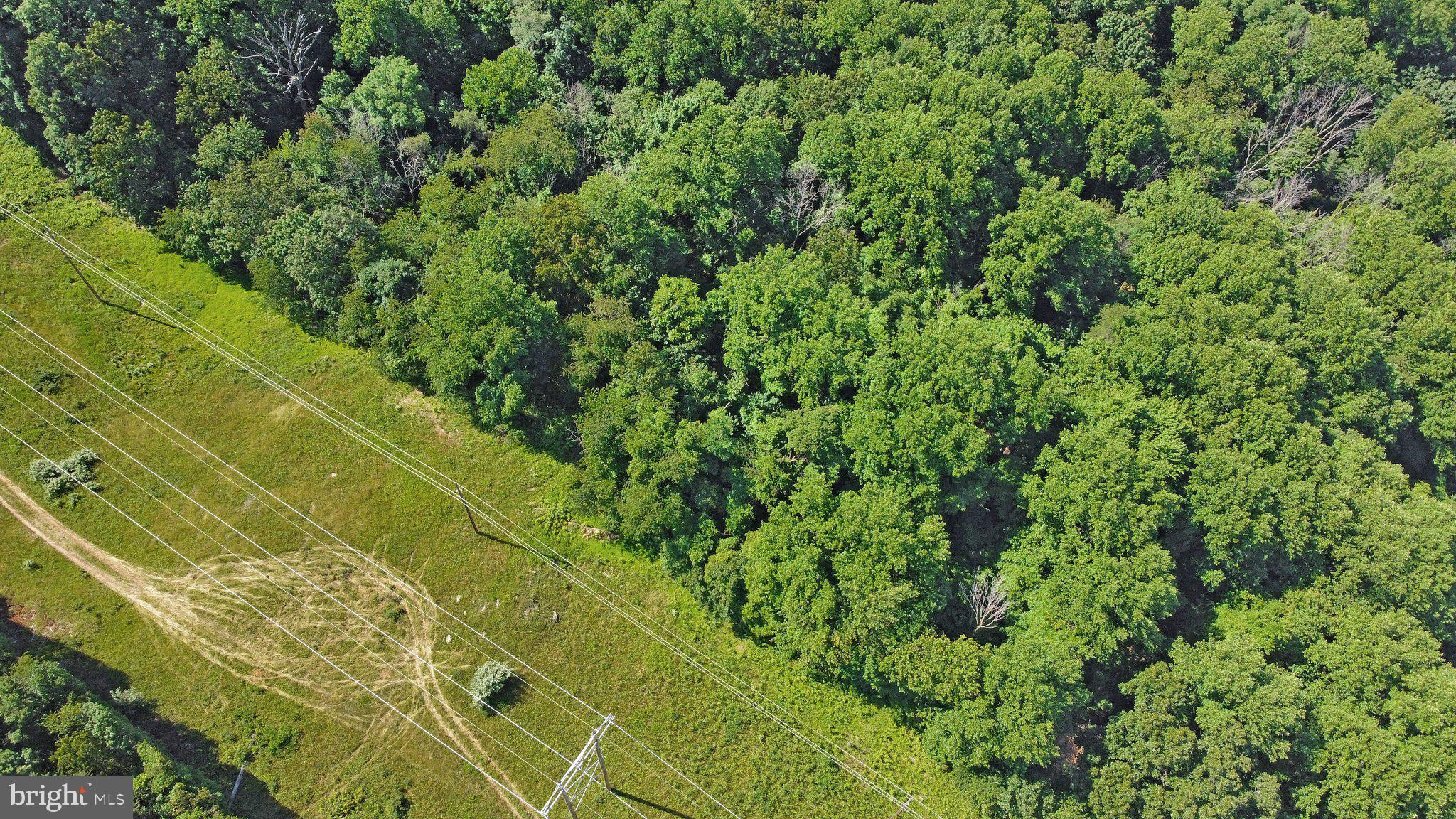 7060 Gilardi Road Boonsboro, MD 21713 - Photo 32 of 95