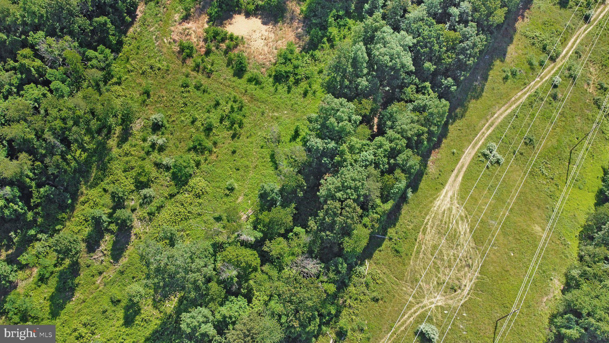 7060 Gilardi Road Boonsboro, MD 21713 - Photo 34 of 95