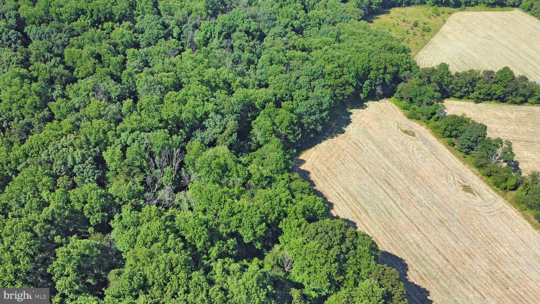 7060 Gilardi Road Boonsboro, MD 21713 - Photo 36 of 95