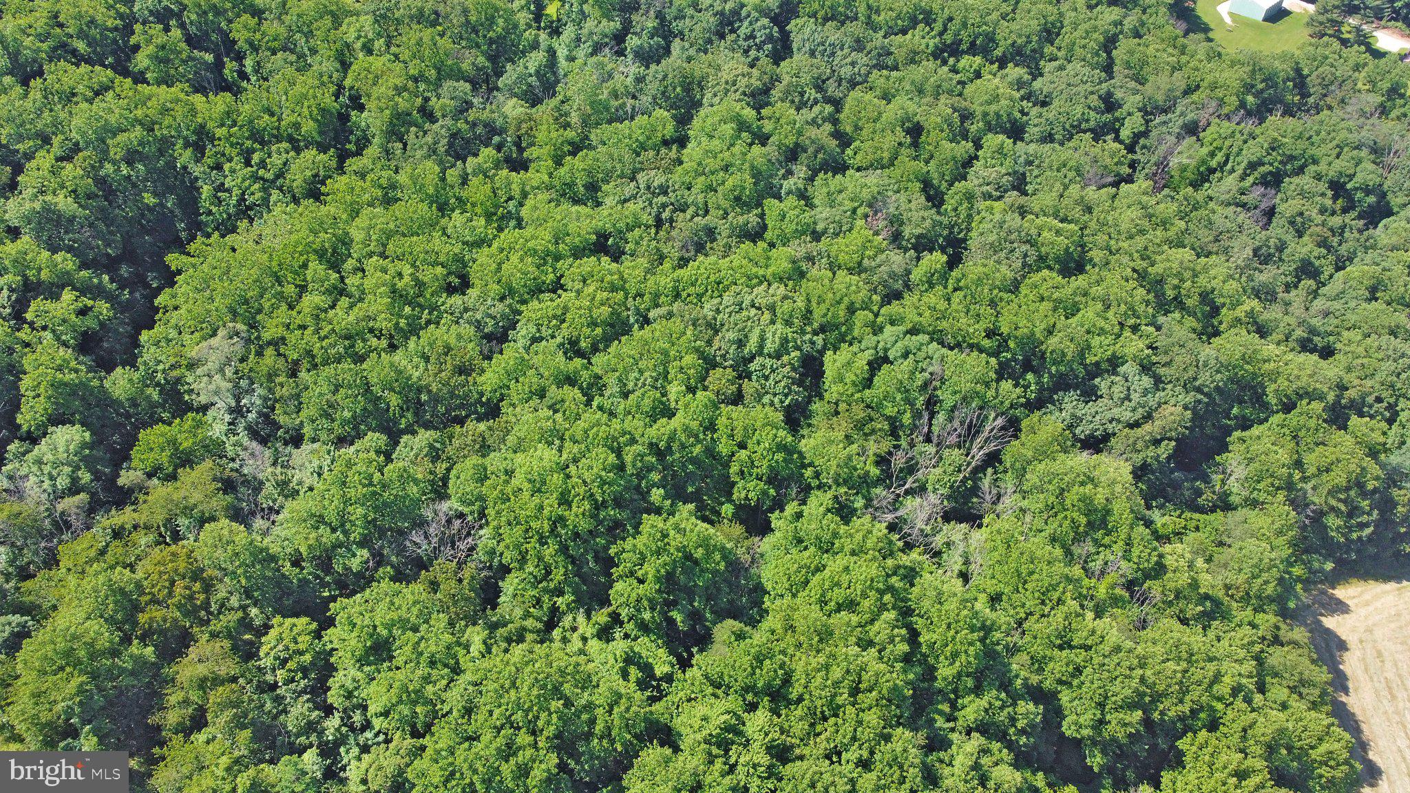 7060 Gilardi Road Boonsboro, MD 21713 - Photo 37 of 95