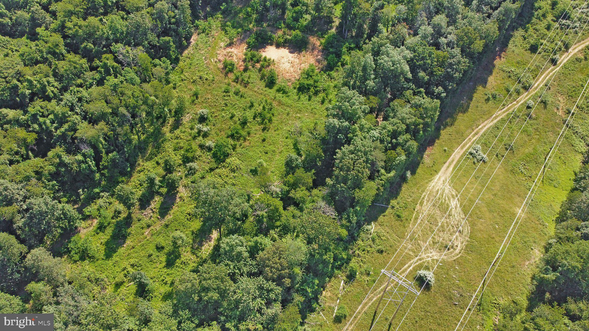 7060 Gilardi Road Boonsboro, MD 21713 - Photo 40 of 95