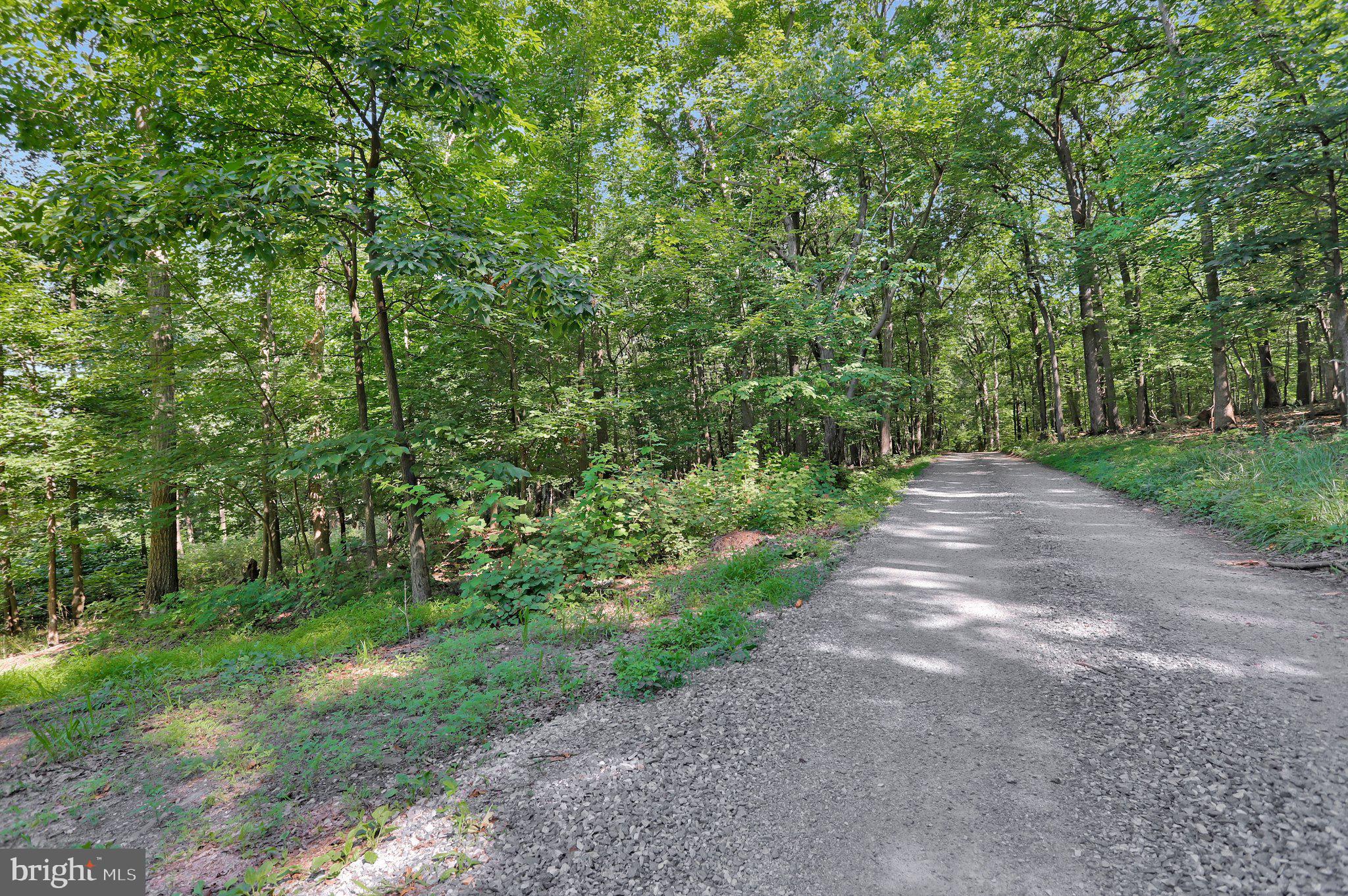 7060 Gilardi Road Boonsboro, MD 21713 - Photo 4 of 95