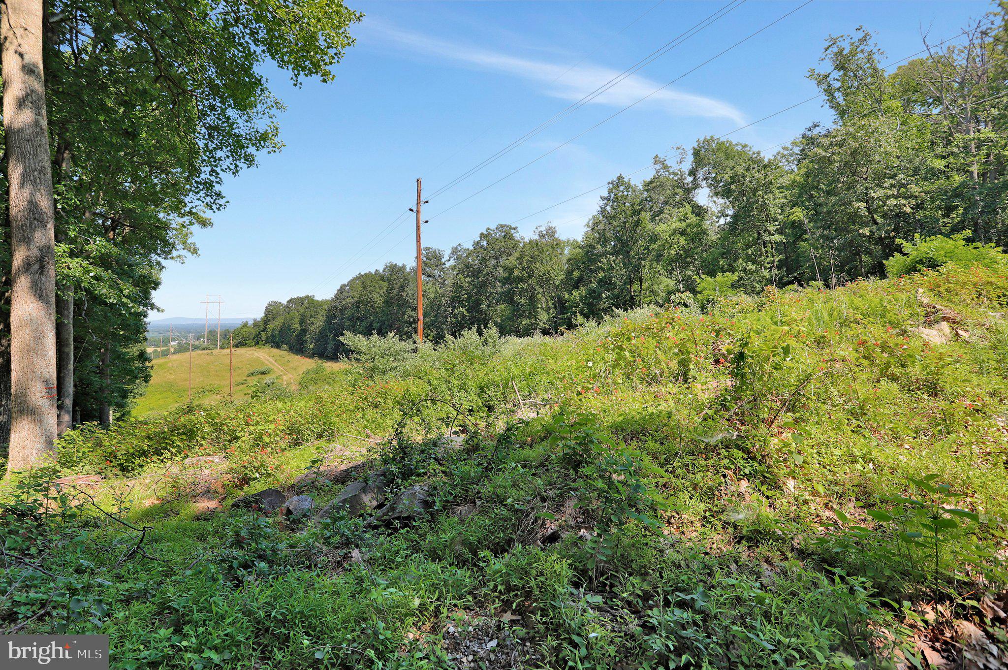 7060 Gilardi Road Boonsboro, MD 21713 - Photo 41 of 95