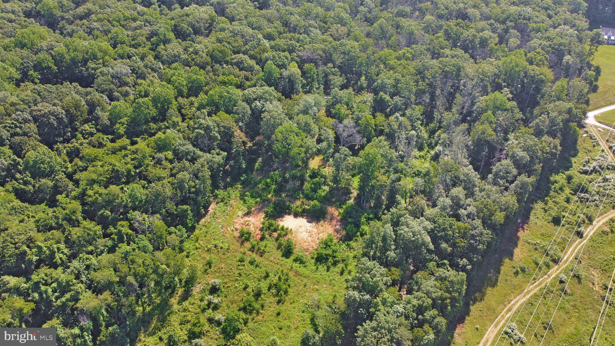 7060 Gilardi Road Boonsboro, MD 21713 - Photo 42 of 95