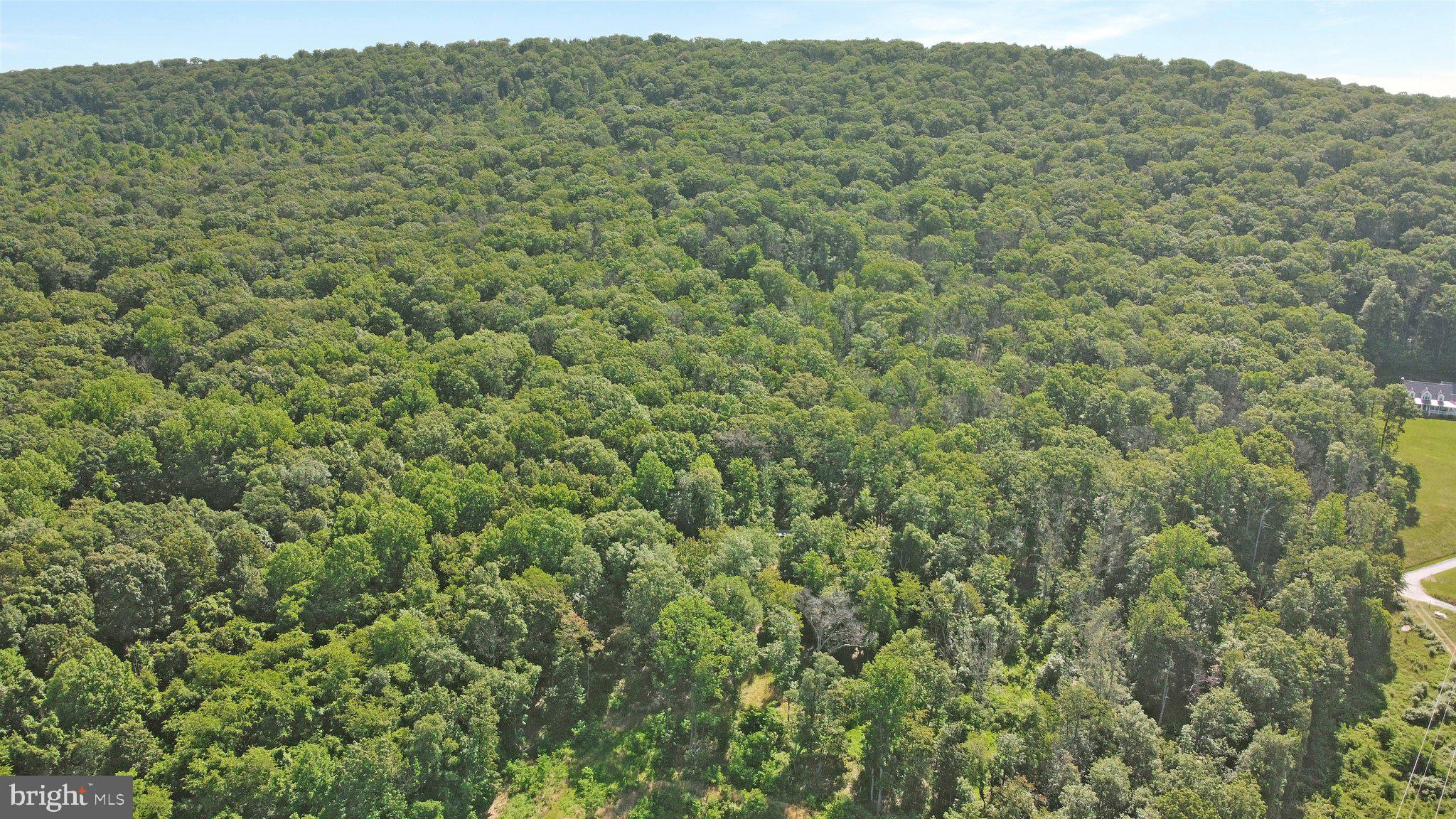 7060 Gilardi Road Boonsboro, MD 21713 - Photo 43 of 95