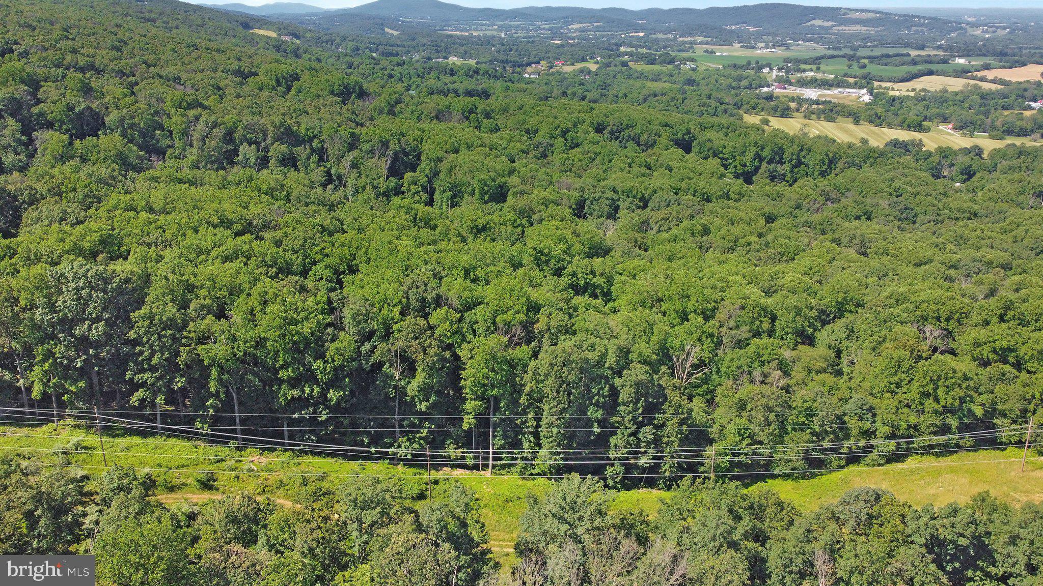 7060 Gilardi Road Boonsboro, MD 21713 - Photo 45 of 95