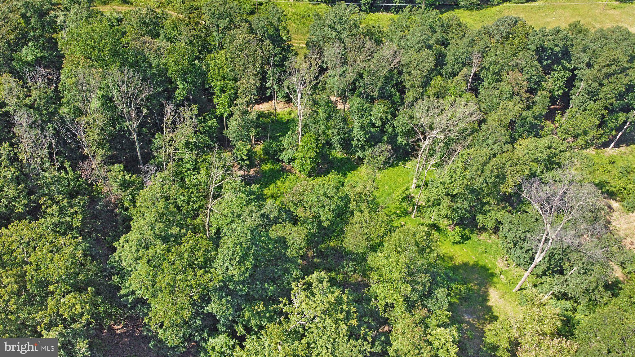 7060 Gilardi Road Boonsboro, MD 21713 - Photo 46 of 95