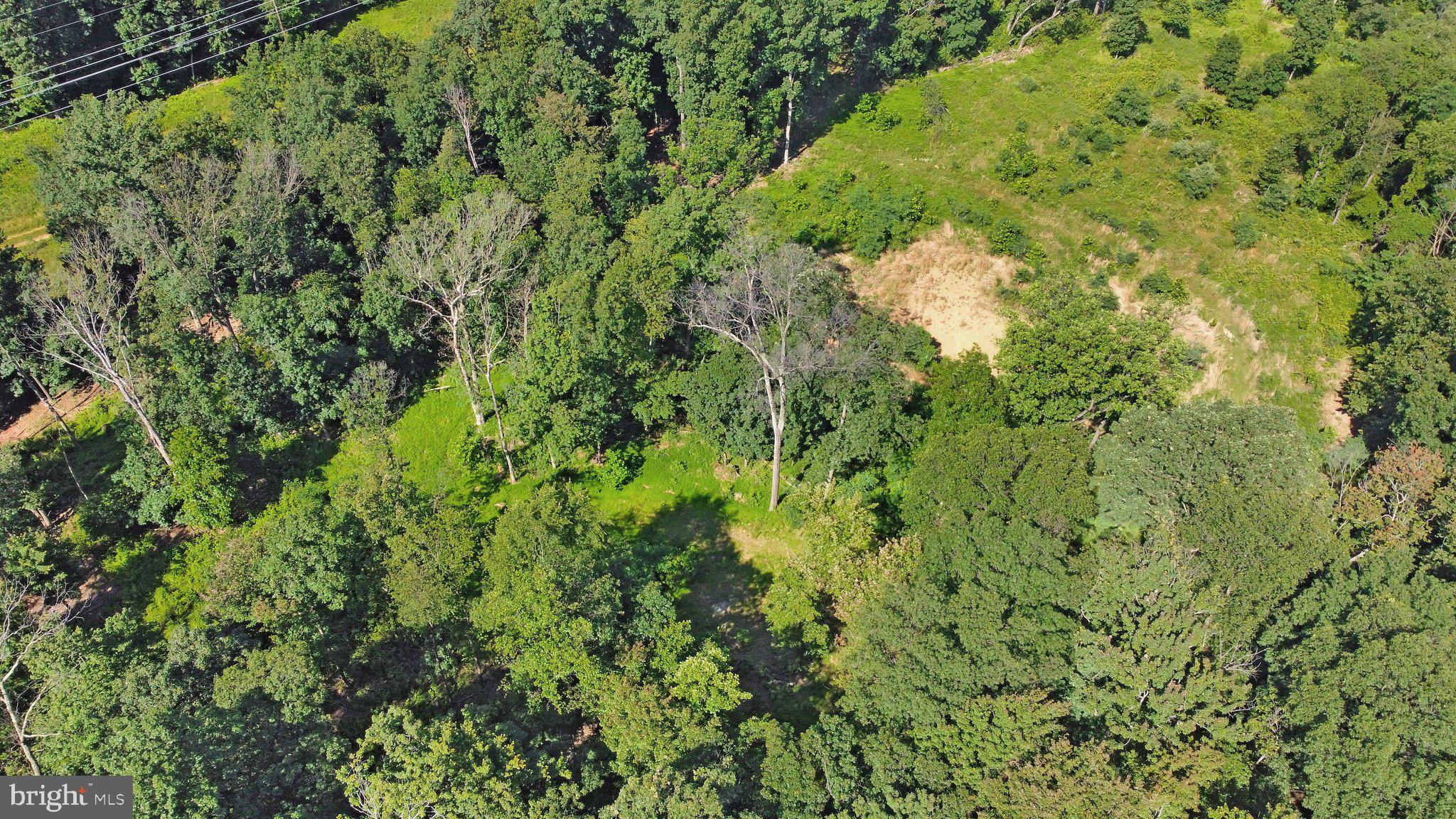 7060 Gilardi Road Boonsboro, MD 21713 - Photo 47 of 95