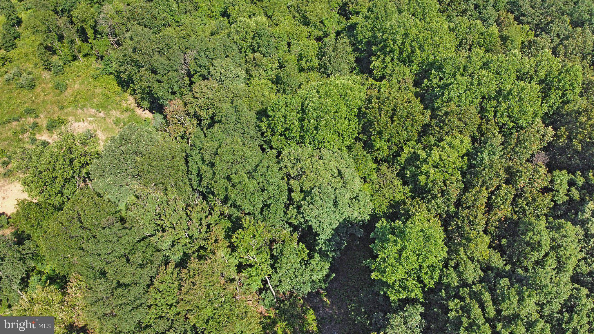 7060 Gilardi Road Boonsboro, MD 21713 - Photo 48 of 95