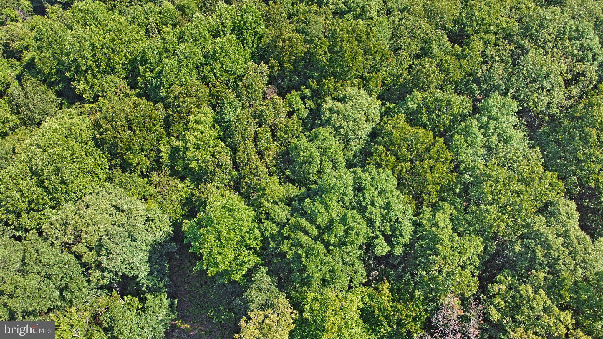 7060 Gilardi Road Boonsboro, MD 21713 - Photo 49 of 95