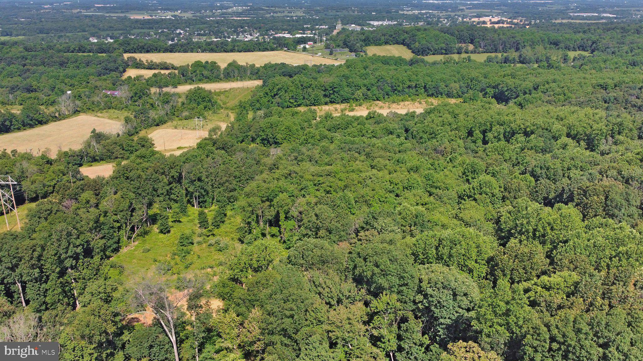 7060 Gilardi Road Boonsboro, MD 21713 - Photo 50 of 95