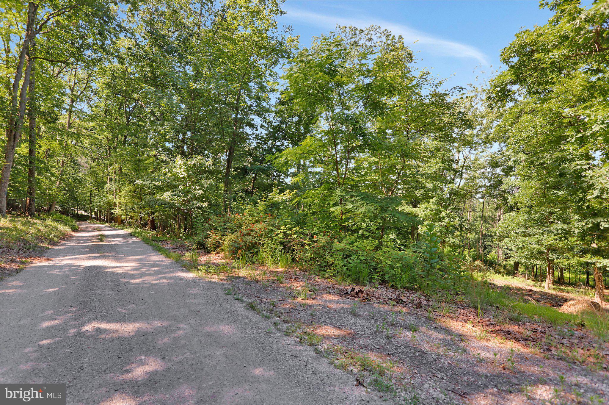 7060 Gilardi Road Boonsboro, MD 21713 - Photo 5 of 95