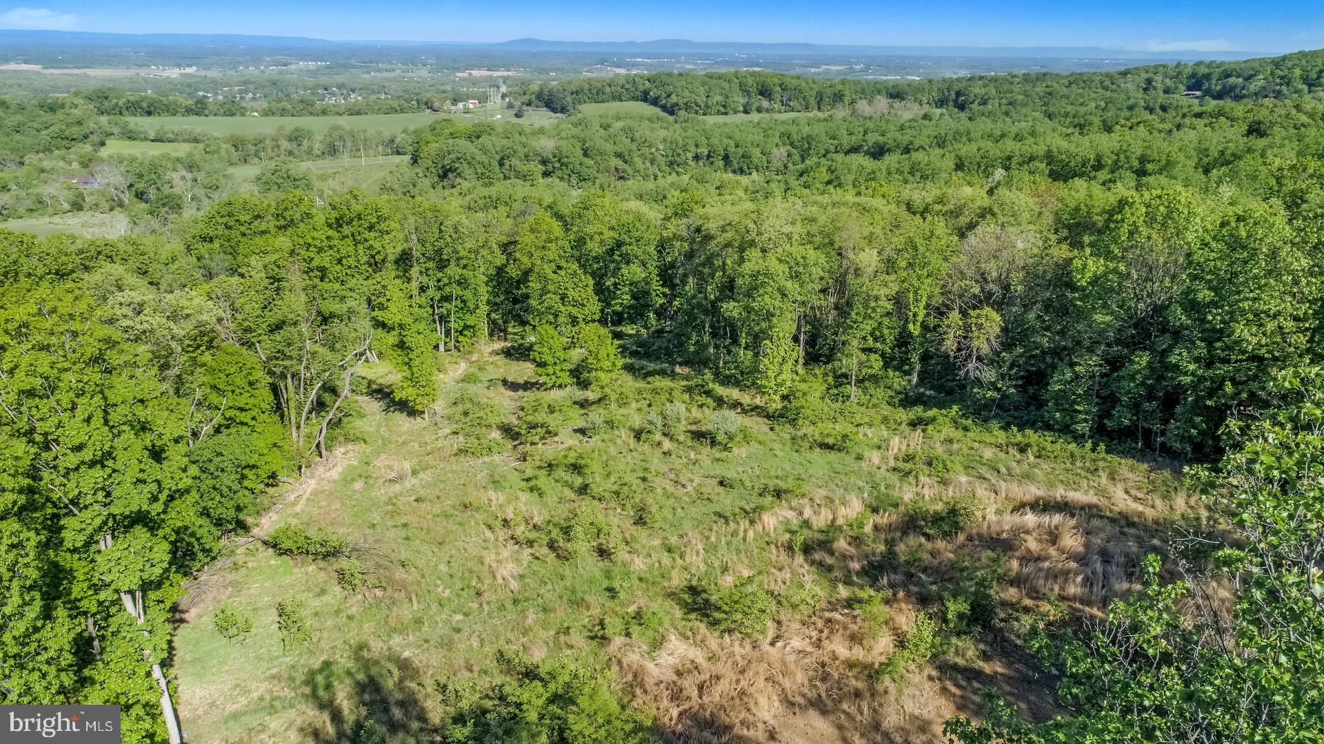 7060 Gilardi Road Boonsboro, MD 21713 - Photo 56 of 95