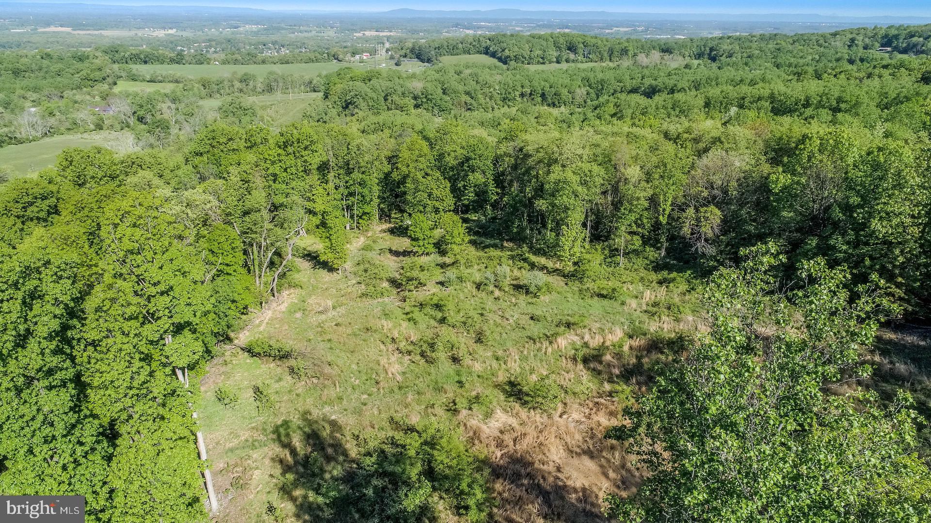 7060 Gilardi Road Boonsboro, MD 21713 - Photo 57 of 95