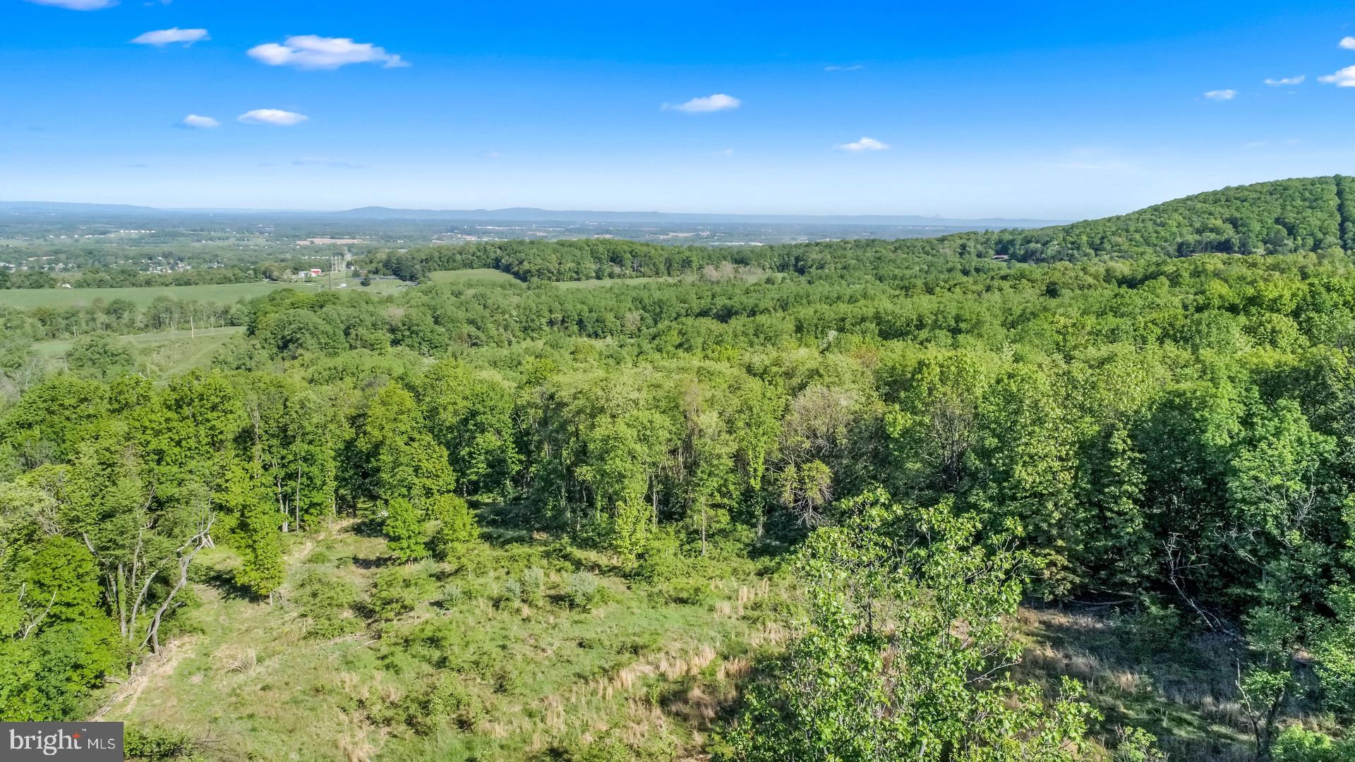 7060 Gilardi Road Boonsboro, MD 21713 - Photo 58 of 95
