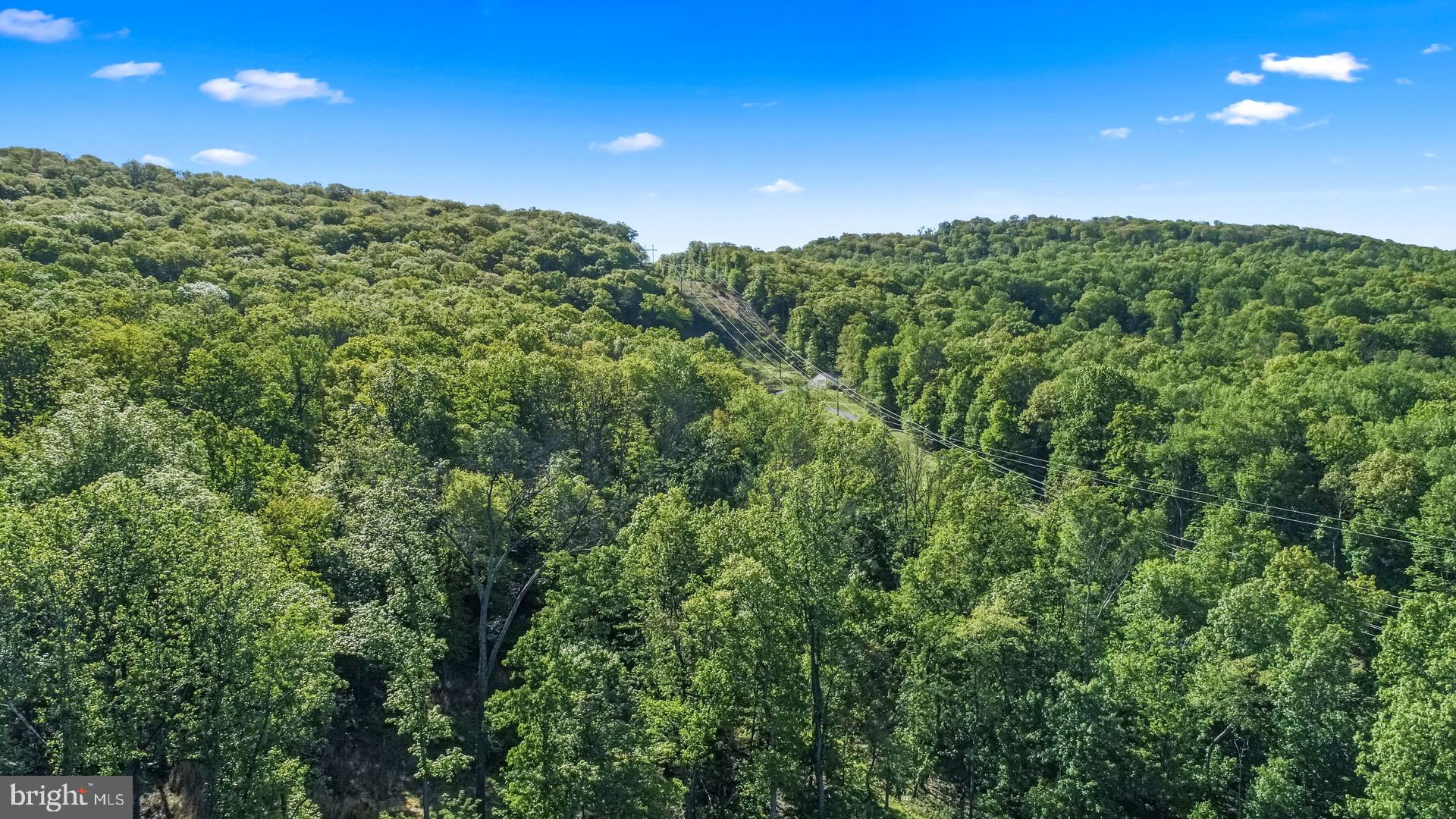 7060 Gilardi Road Boonsboro, MD 21713 - Photo 59 of 95