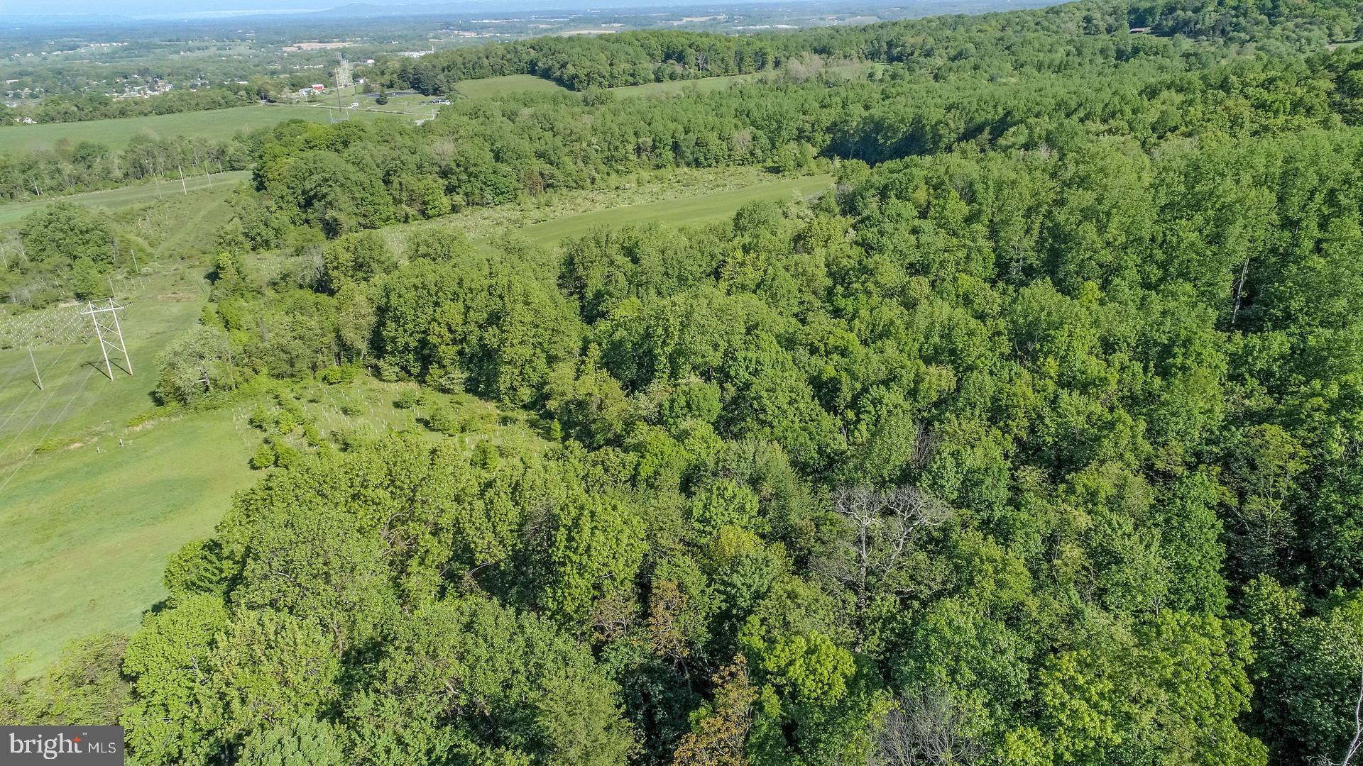 7060 Gilardi Road Boonsboro, MD 21713 - Photo 60 of 95