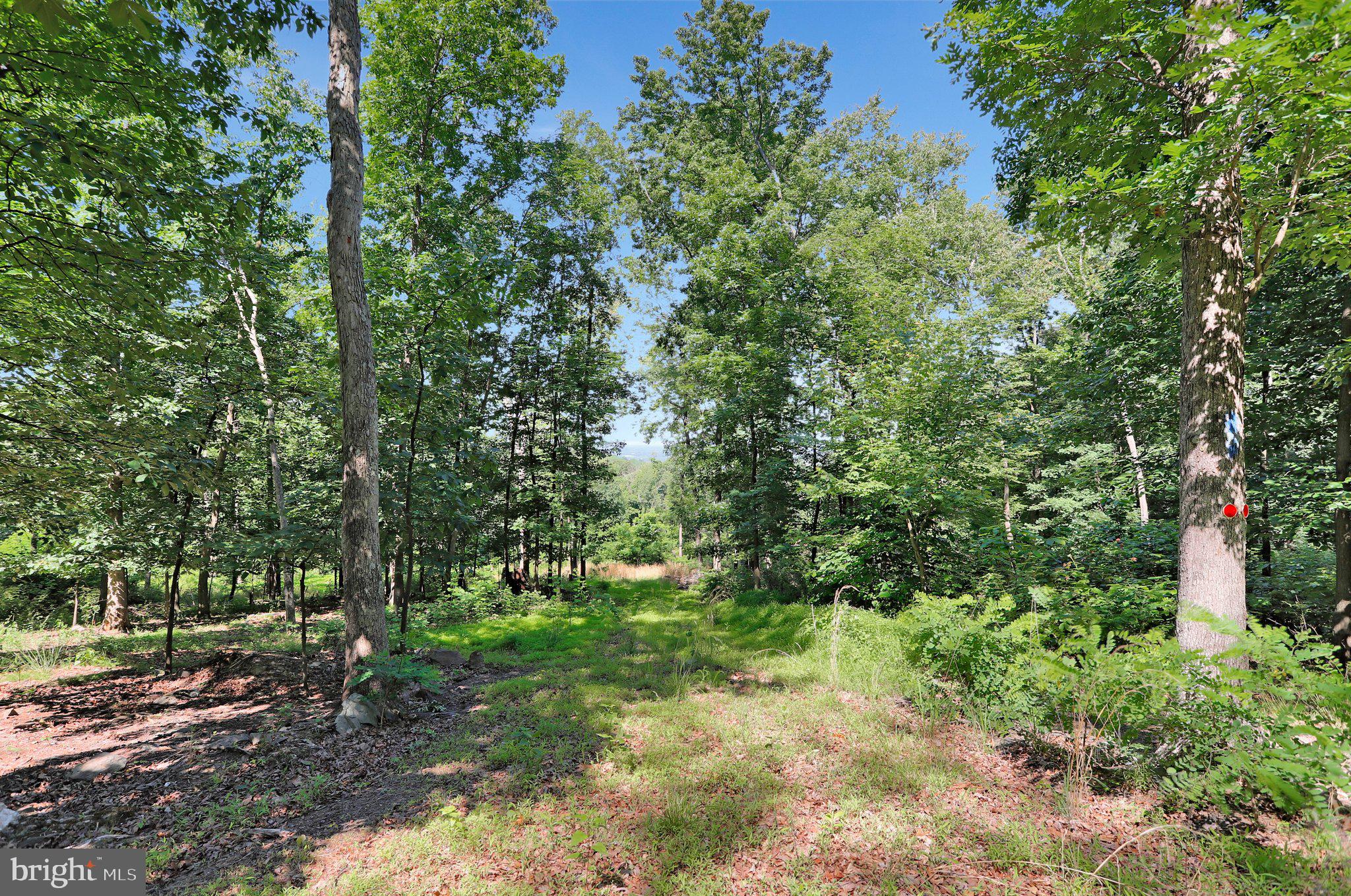 7060 Gilardi Road Boonsboro, MD 21713 - Photo 6 of 95