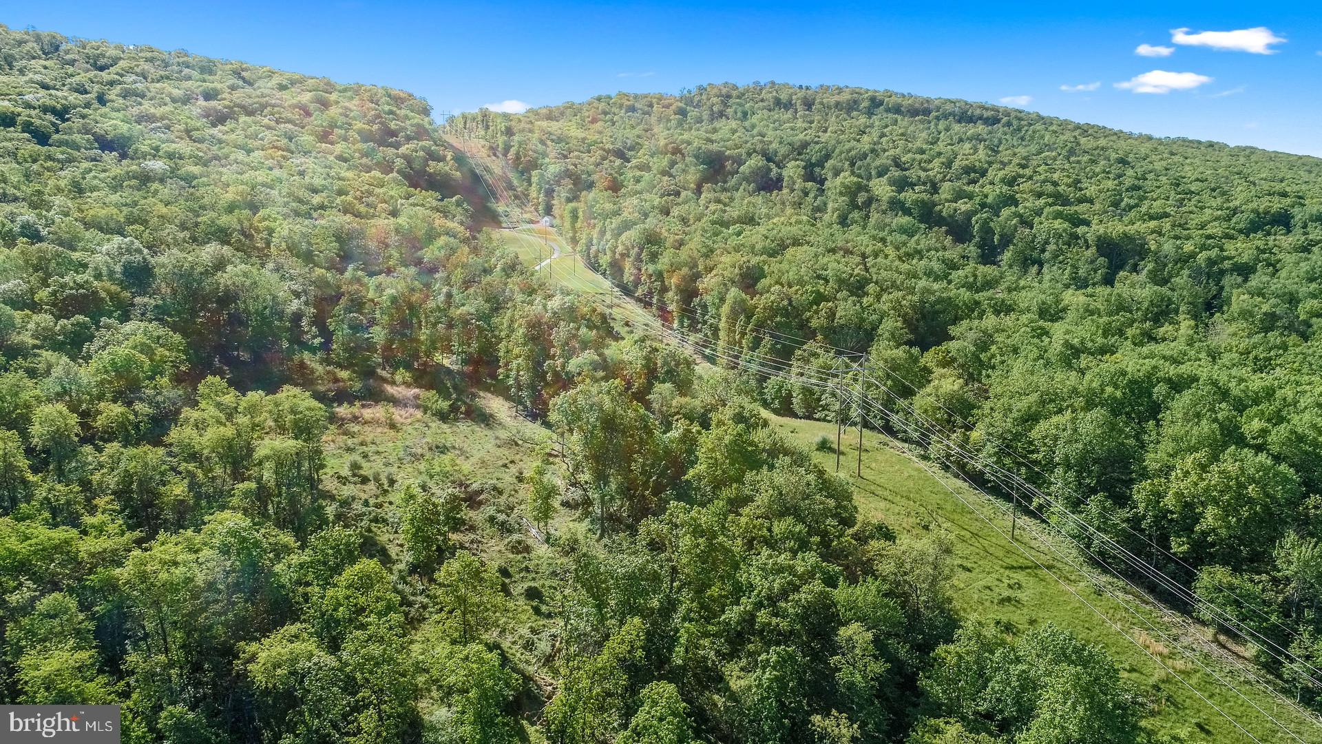 7060 Gilardi Road Boonsboro, MD 21713 - Photo 61 of 95