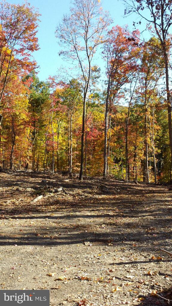 7060 Gilardi Road Boonsboro, MD 21713 - Photo 62 of 95