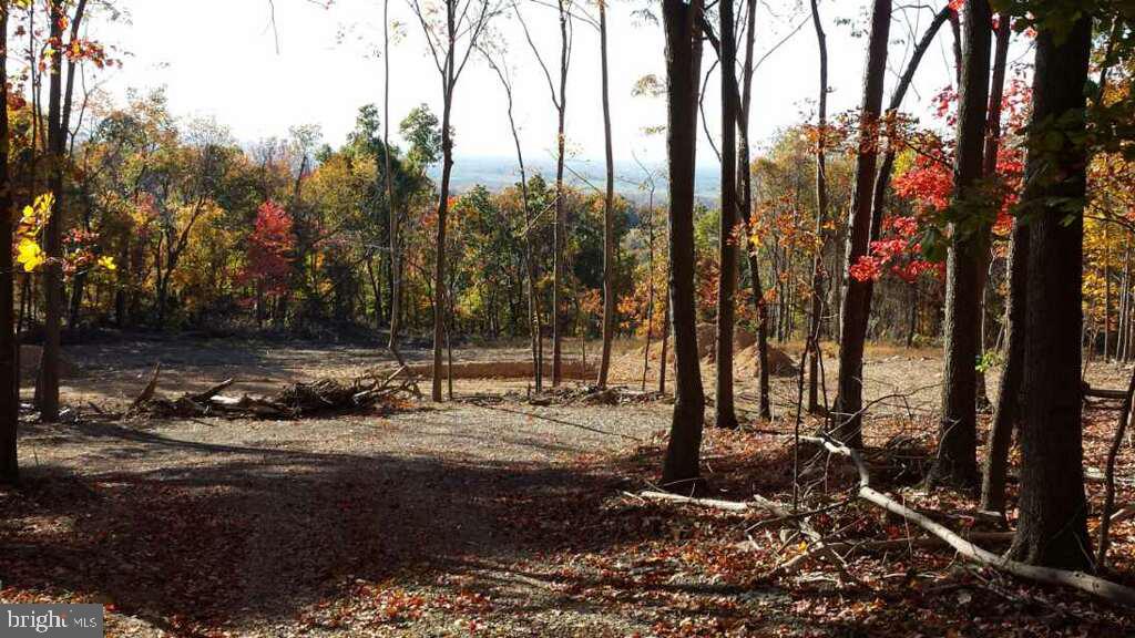 7060 Gilardi Road Boonsboro, MD 21713 - Photo 63 of 95