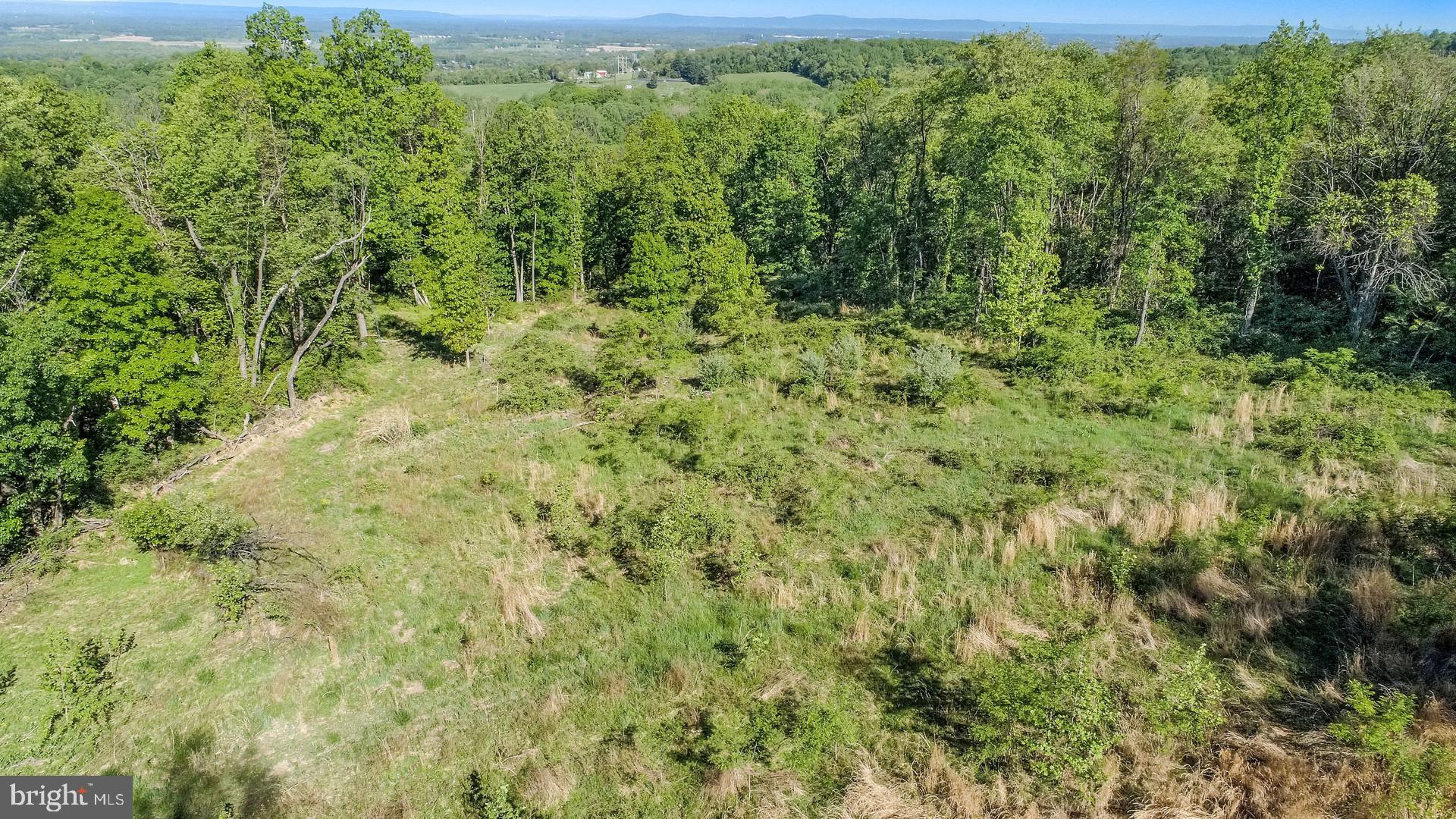 7060 Gilardi Road Boonsboro, MD 21713 - Photo 64 of 95