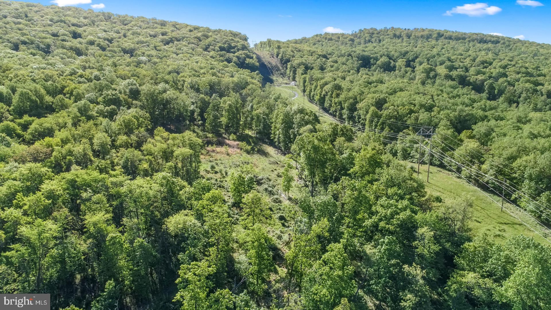 7060 Gilardi Road Boonsboro, MD 21713 - Photo 65 of 95