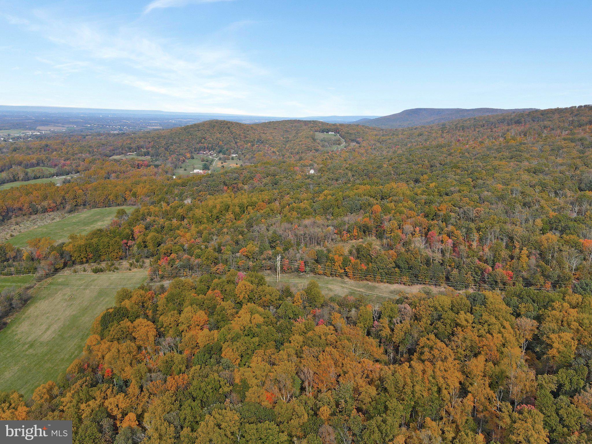 7060 Gilardi Road Boonsboro, MD 21713 - Photo 66 of 95