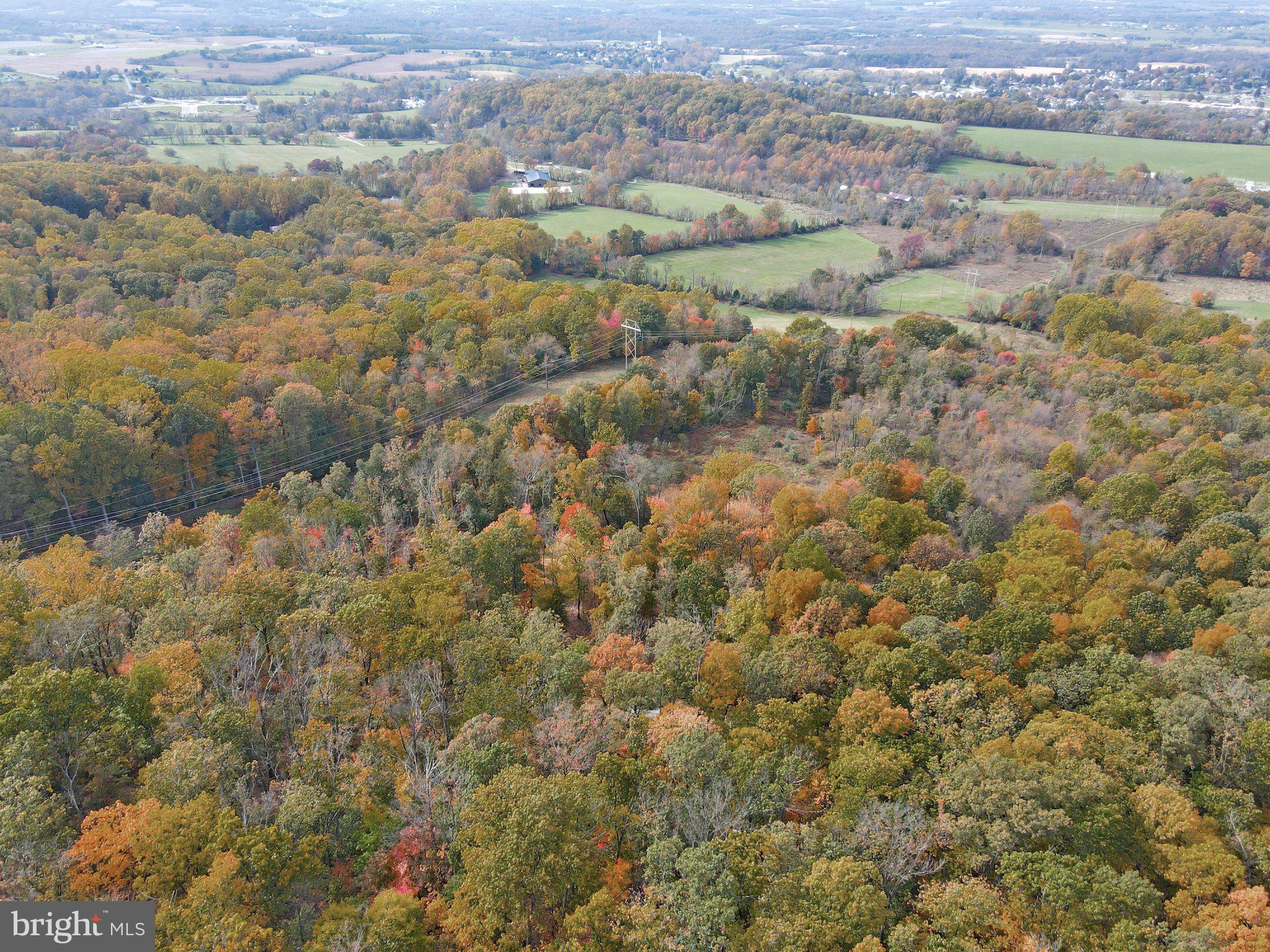 7060 Gilardi Road Boonsboro, MD 21713 - Photo 68 of 95