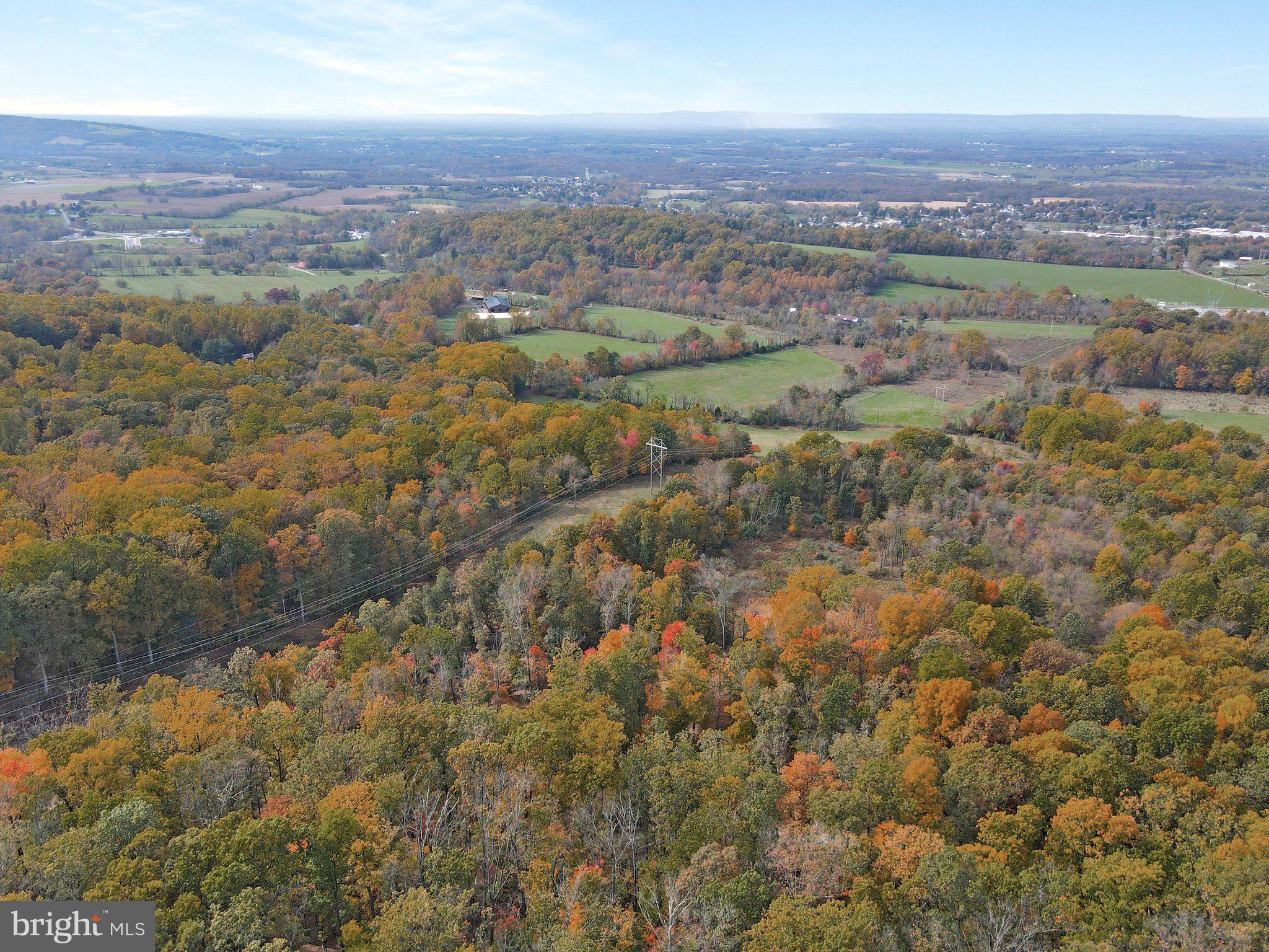 7060 Gilardi Road Boonsboro, MD 21713 - Photo 69 of 95