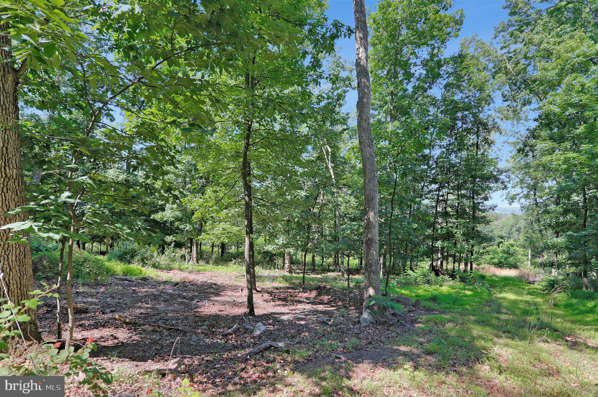 7060 Gilardi Road Boonsboro, MD 21713 - Photo 7 of 95