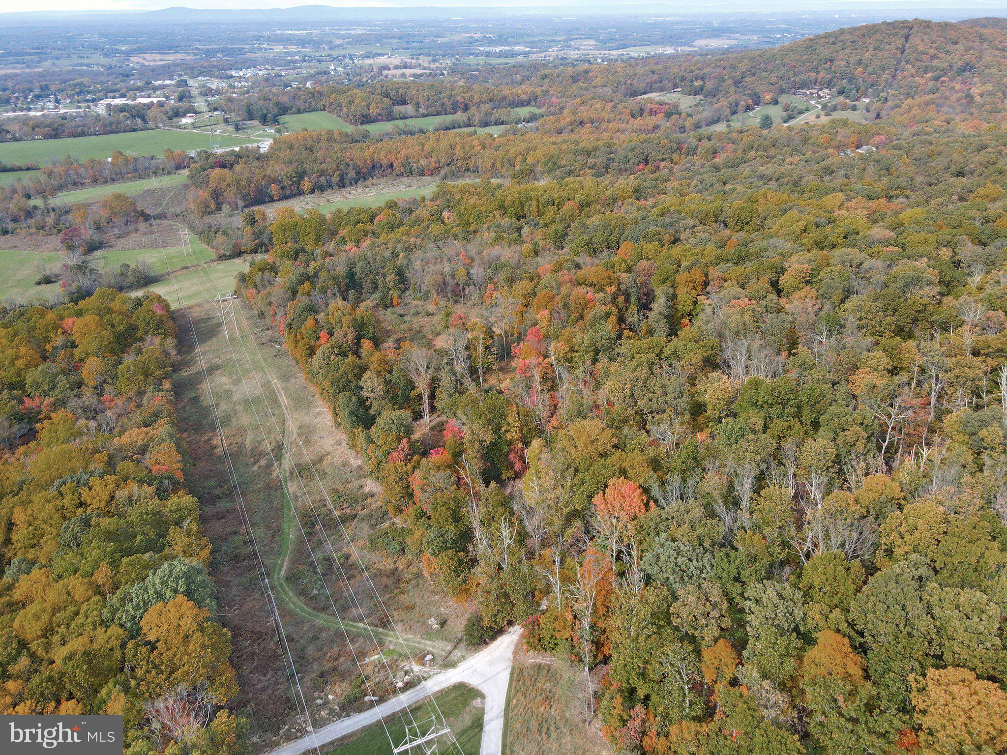 7060 Gilardi Road Boonsboro, MD 21713 - Photo 72 of 95