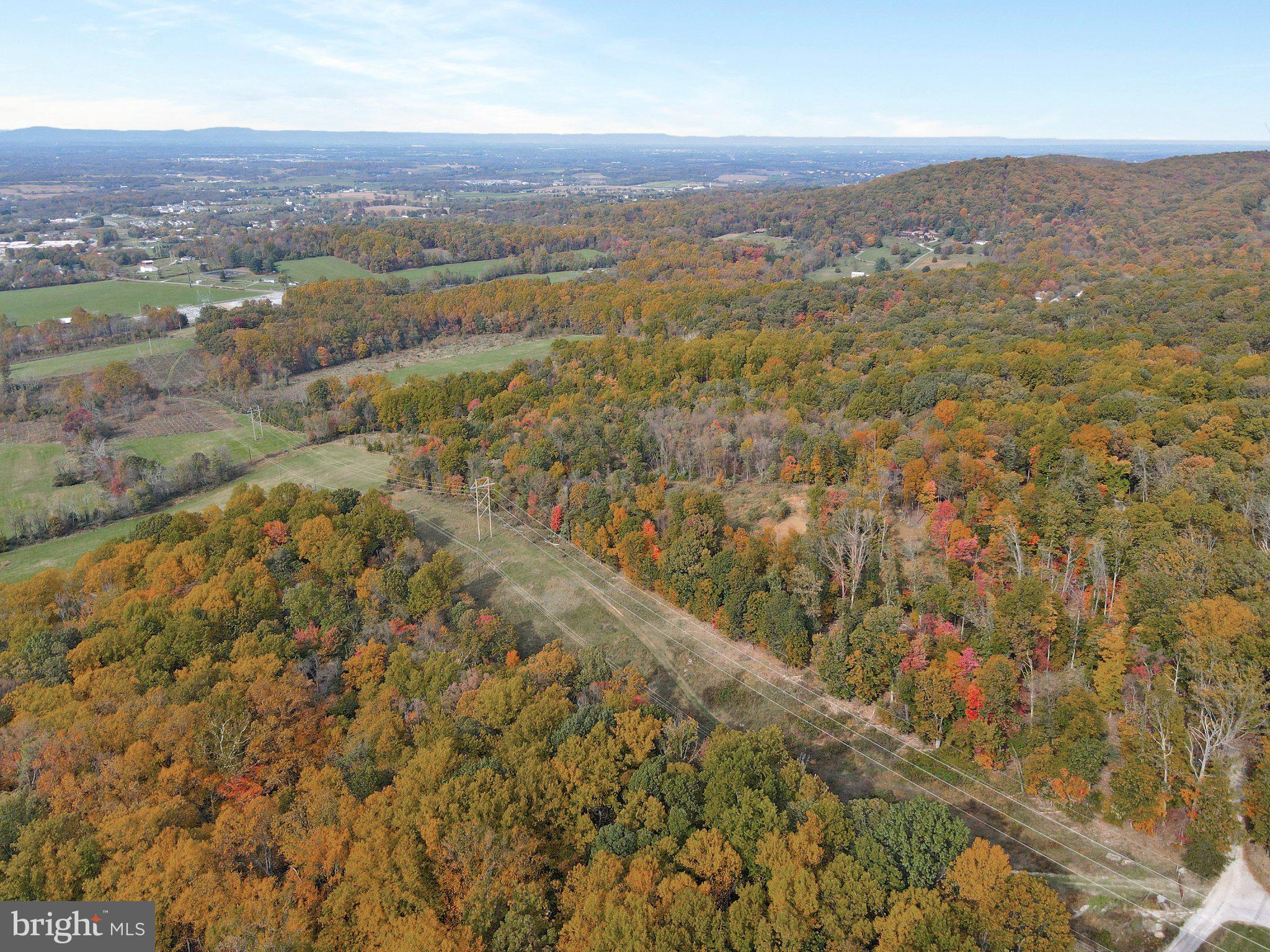 7060 Gilardi Road Boonsboro, MD 21713 - Photo 74 of 95