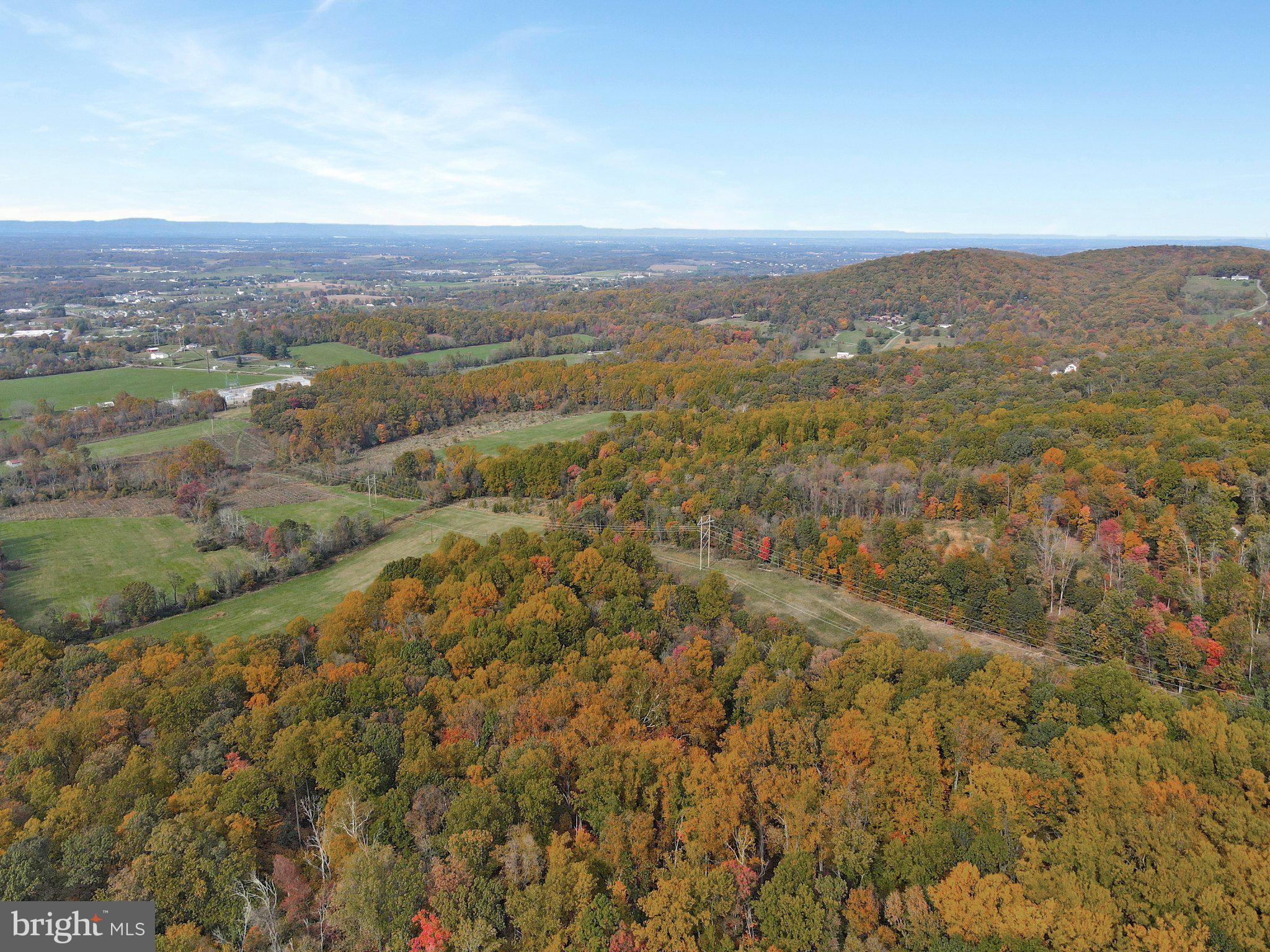 7060 Gilardi Road Boonsboro, MD 21713 - Photo 76 of 95
