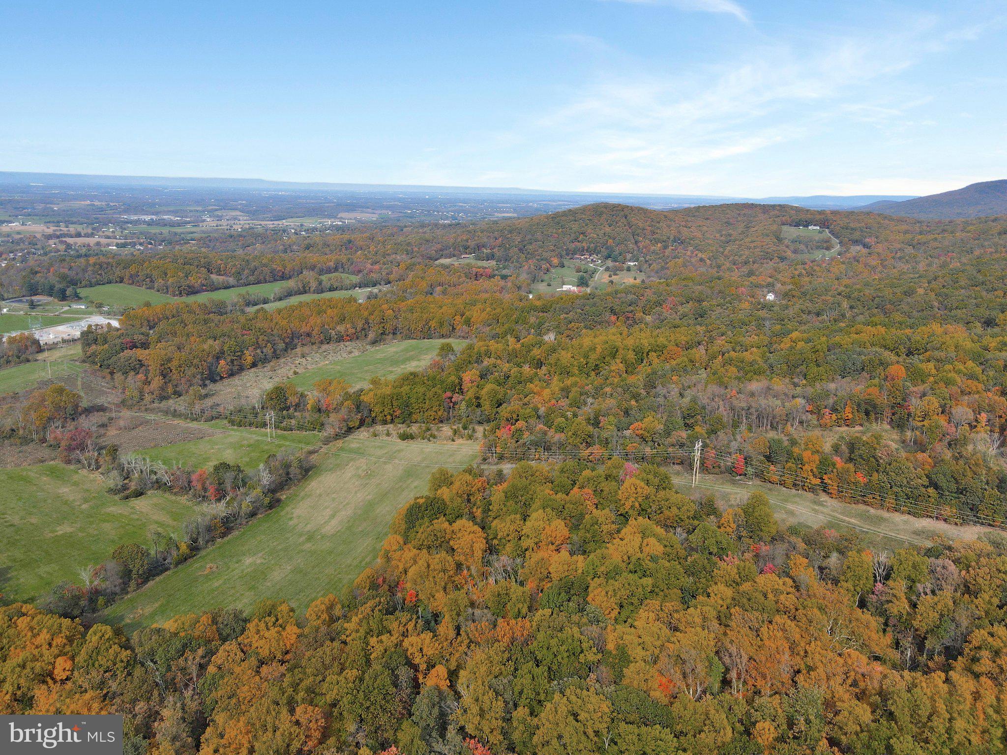 7060 Gilardi Road Boonsboro, MD 21713 - Photo 77 of 95