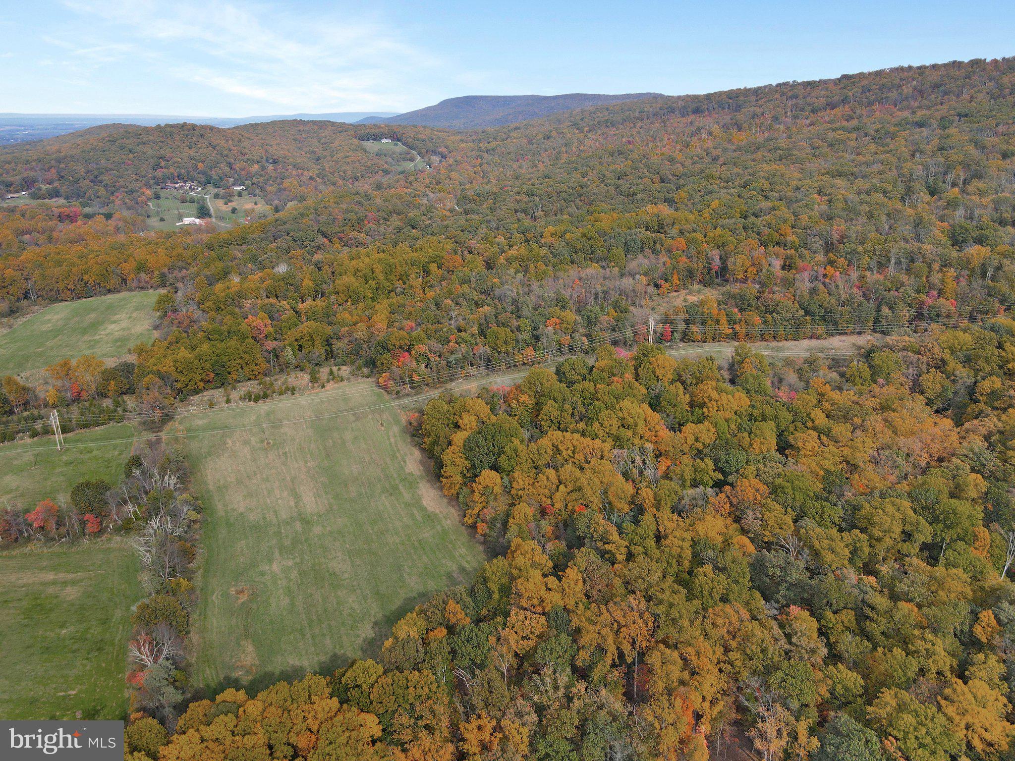 7060 Gilardi Road Boonsboro, MD 21713 - Photo 78 of 95