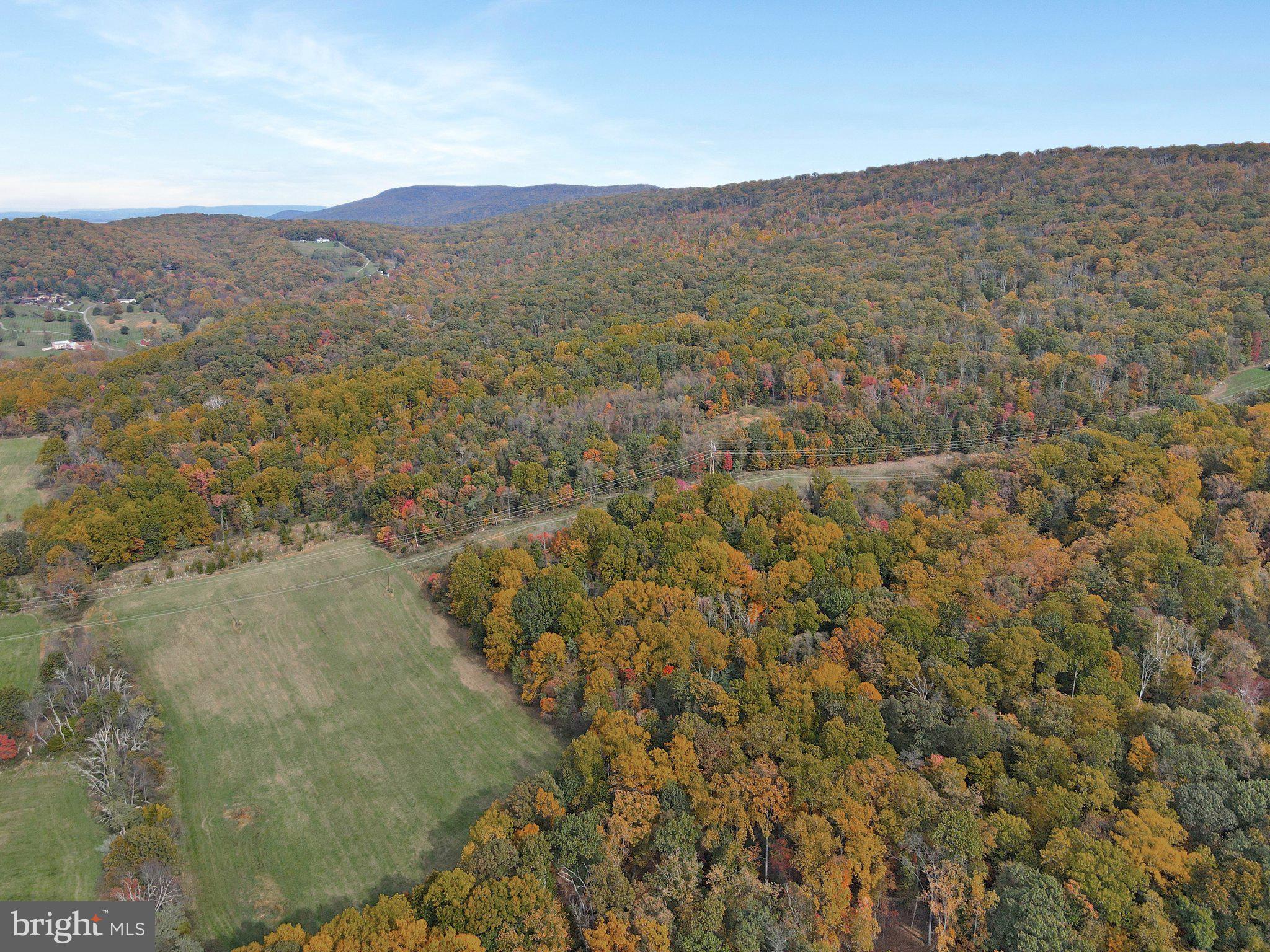 7060 Gilardi Road Boonsboro, MD 21713 - Photo 79 of 95