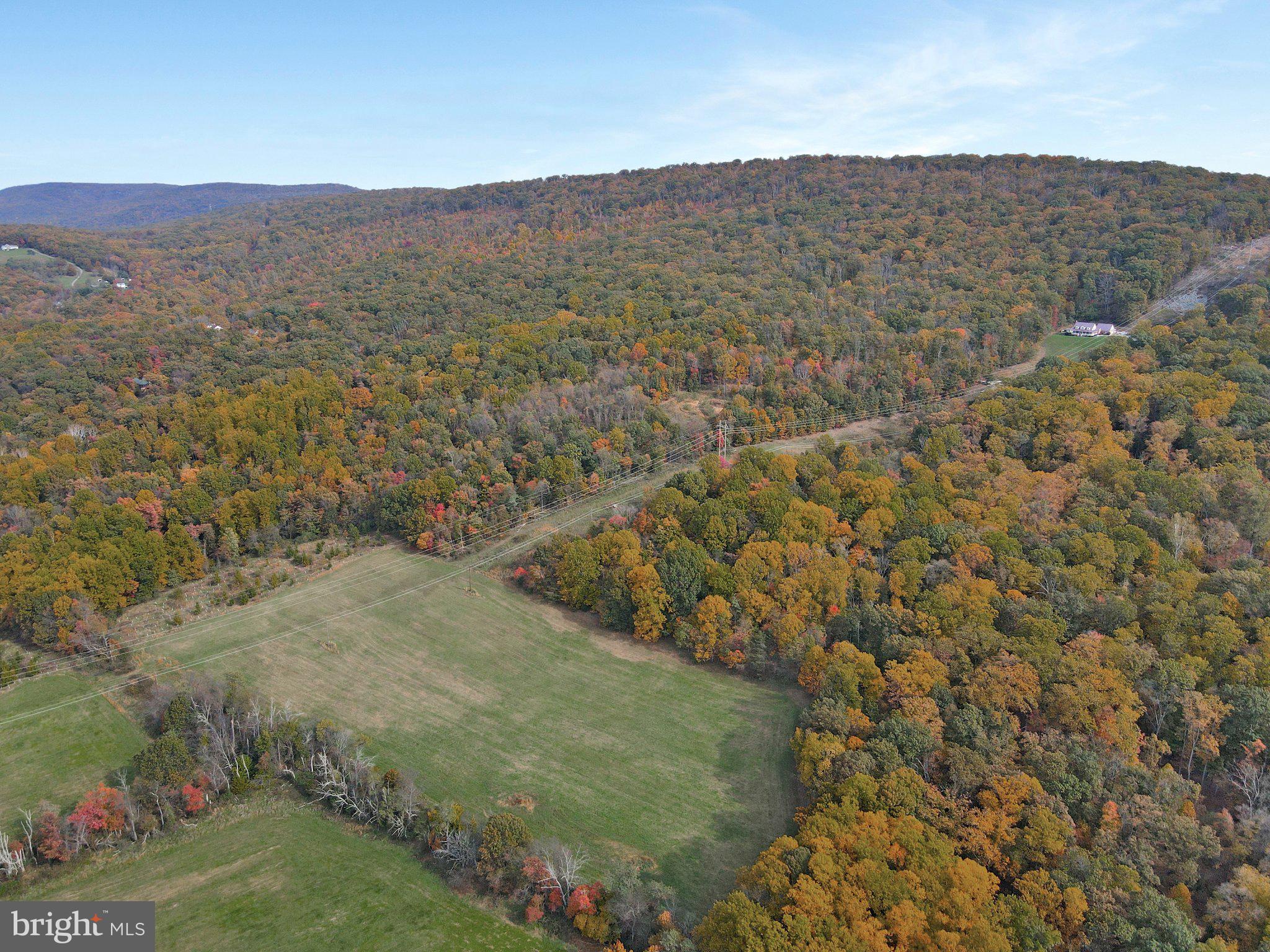 7060 Gilardi Road Boonsboro, MD 21713 - Photo 80 of 95