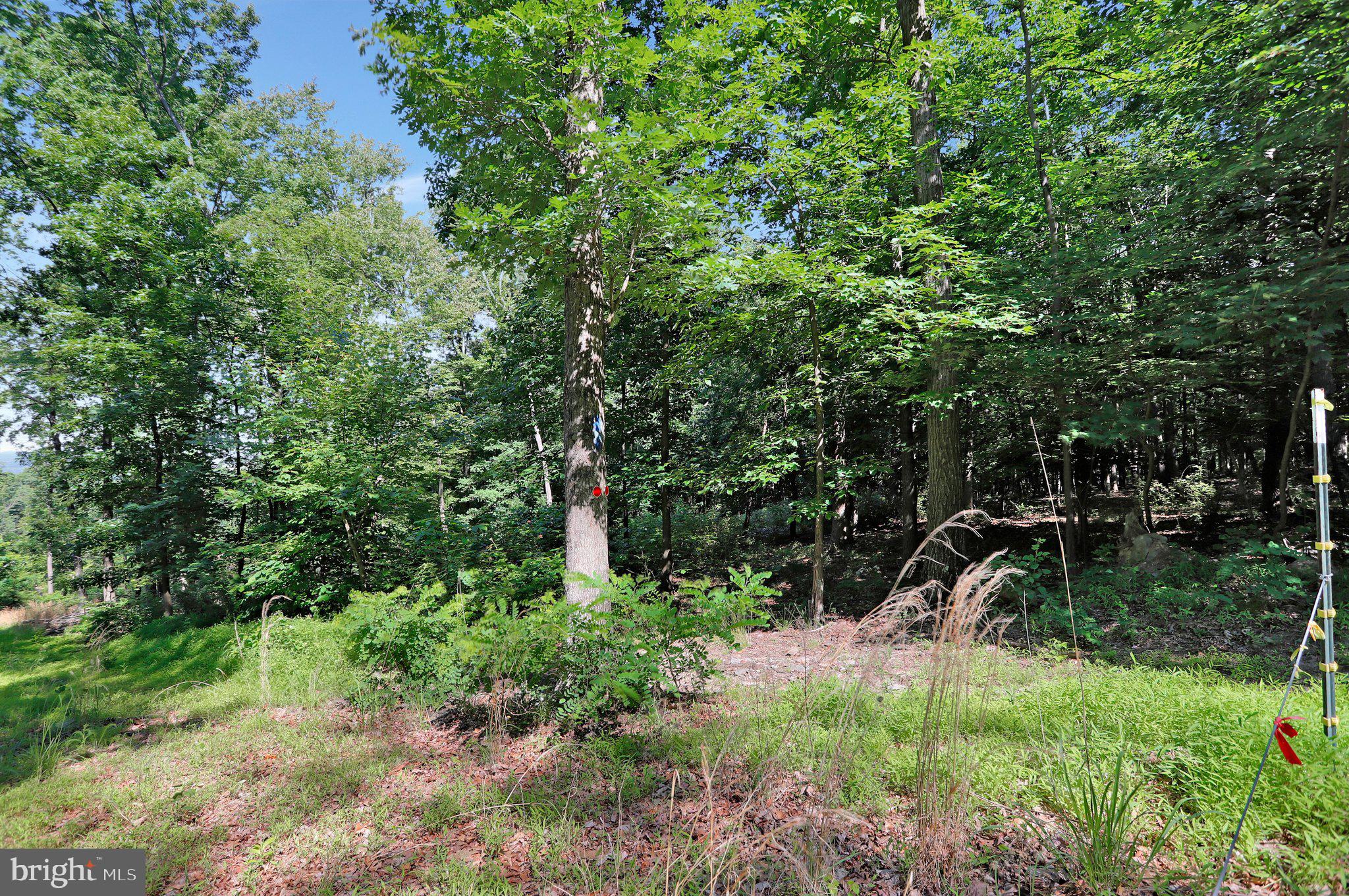 7060 Gilardi Road Boonsboro, MD 21713 - Photo 8 of 95