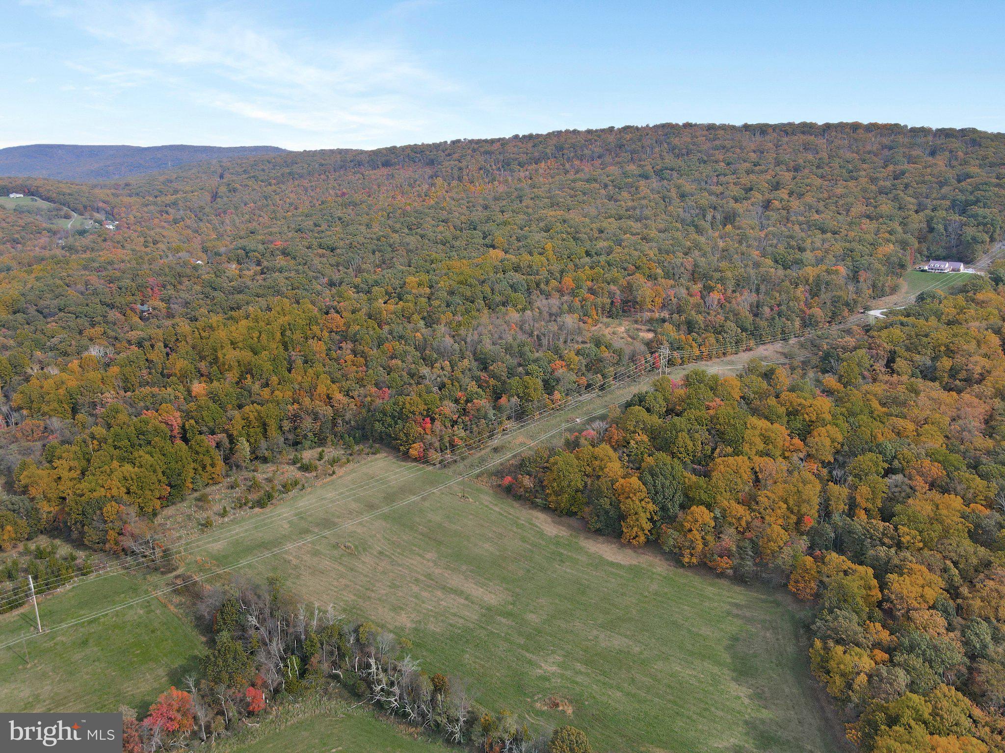 7060 Gilardi Road Boonsboro, MD 21713 - Photo 81 of 95