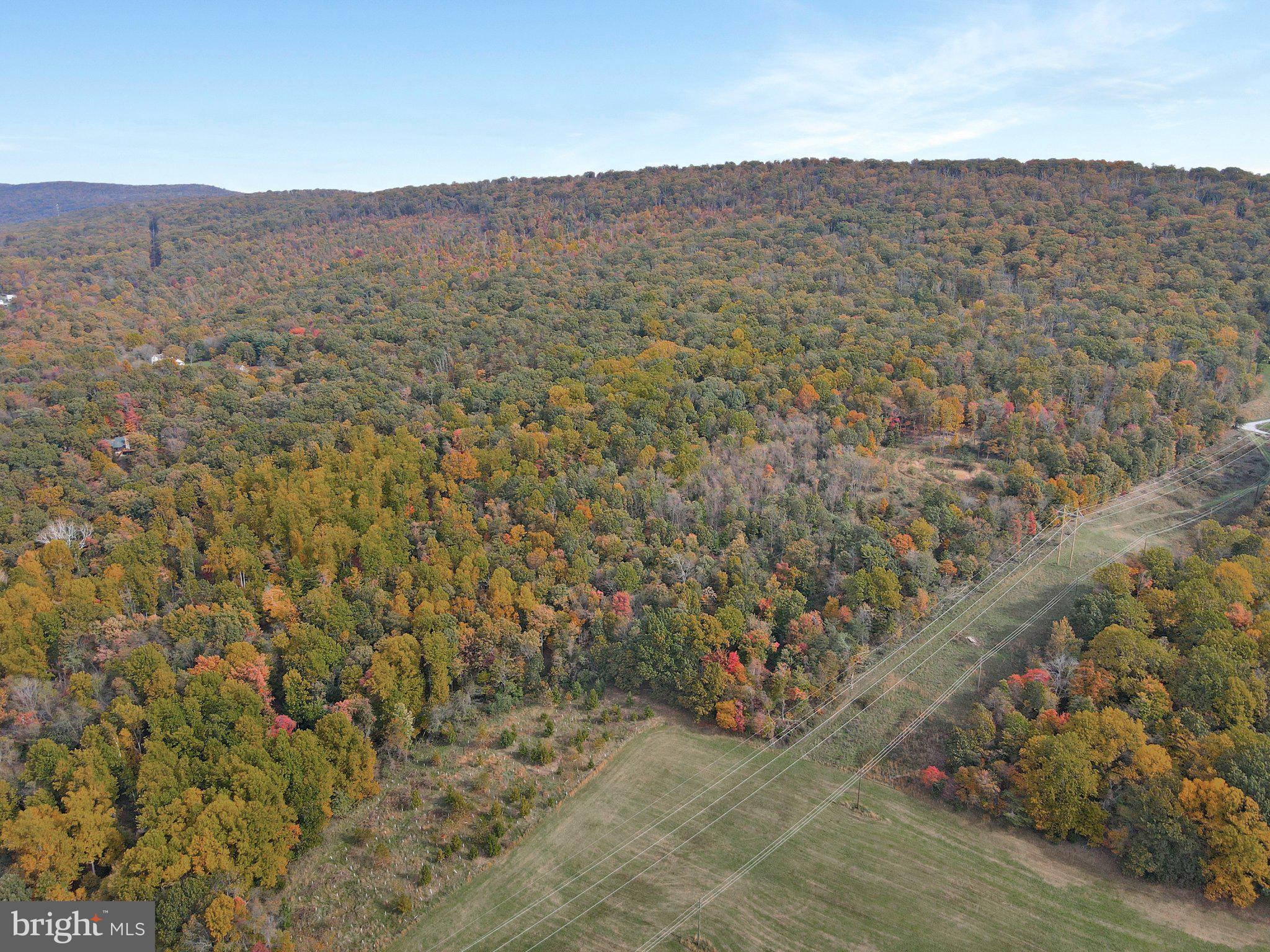 7060 Gilardi Road Boonsboro, MD 21713 - Photo 83 of 95