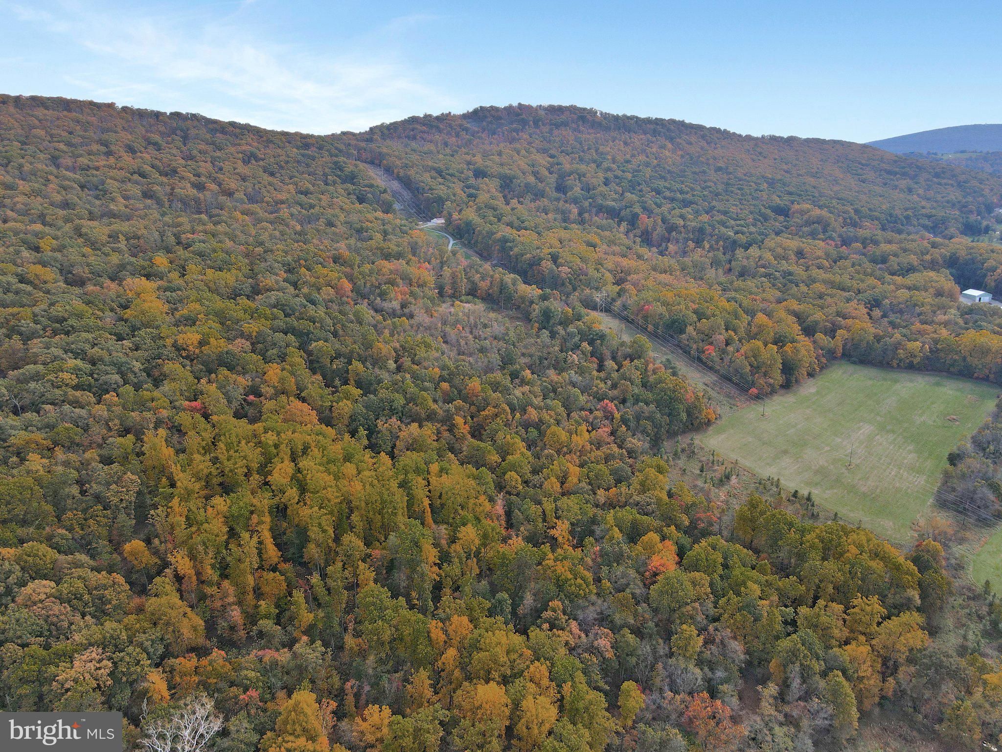7060 Gilardi Road Boonsboro, MD 21713 - Photo 85 of 95
