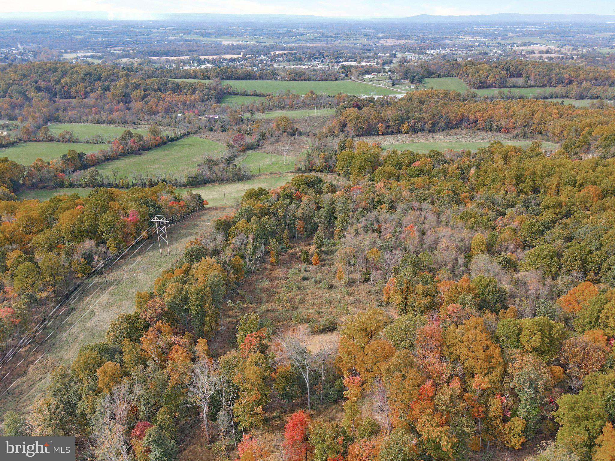 7060 Gilardi Road Boonsboro, MD 21713 - Photo 90 of 95