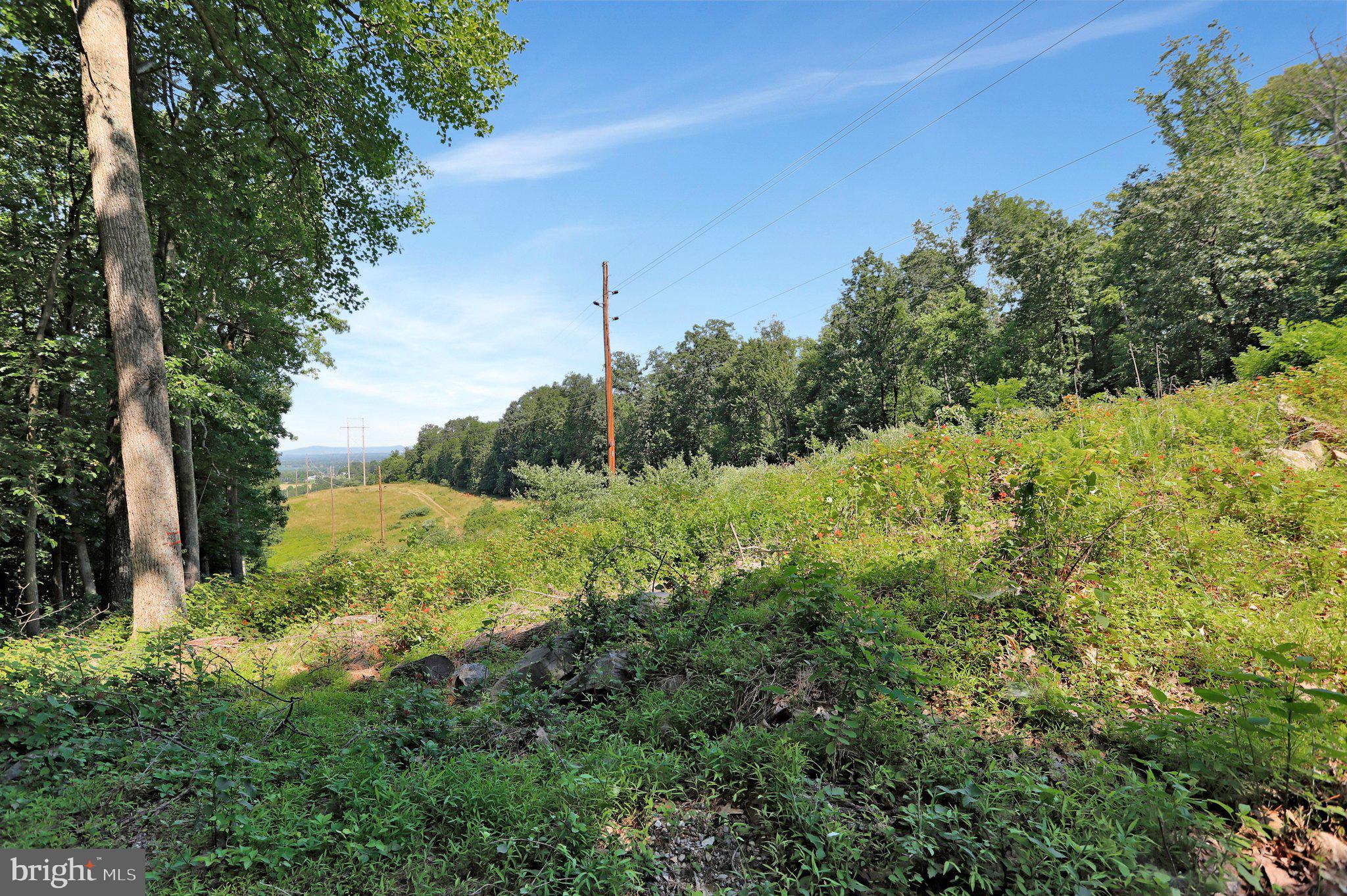 7060 Gilardi Road Boonsboro, MD 21713 - Photo 9 of 95