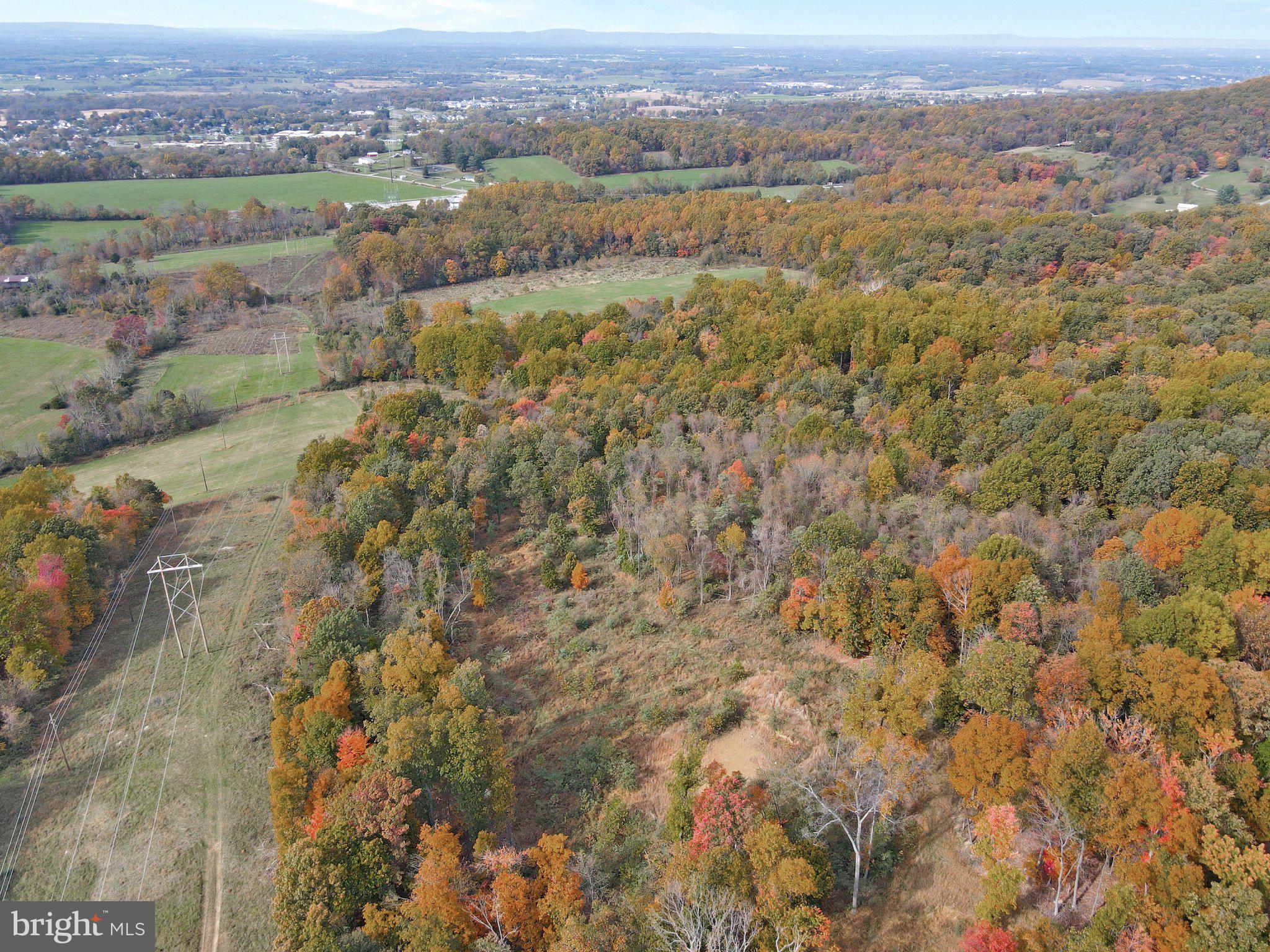 7060 Gilardi Road Boonsboro, MD 21713 - Photo 91 of 95