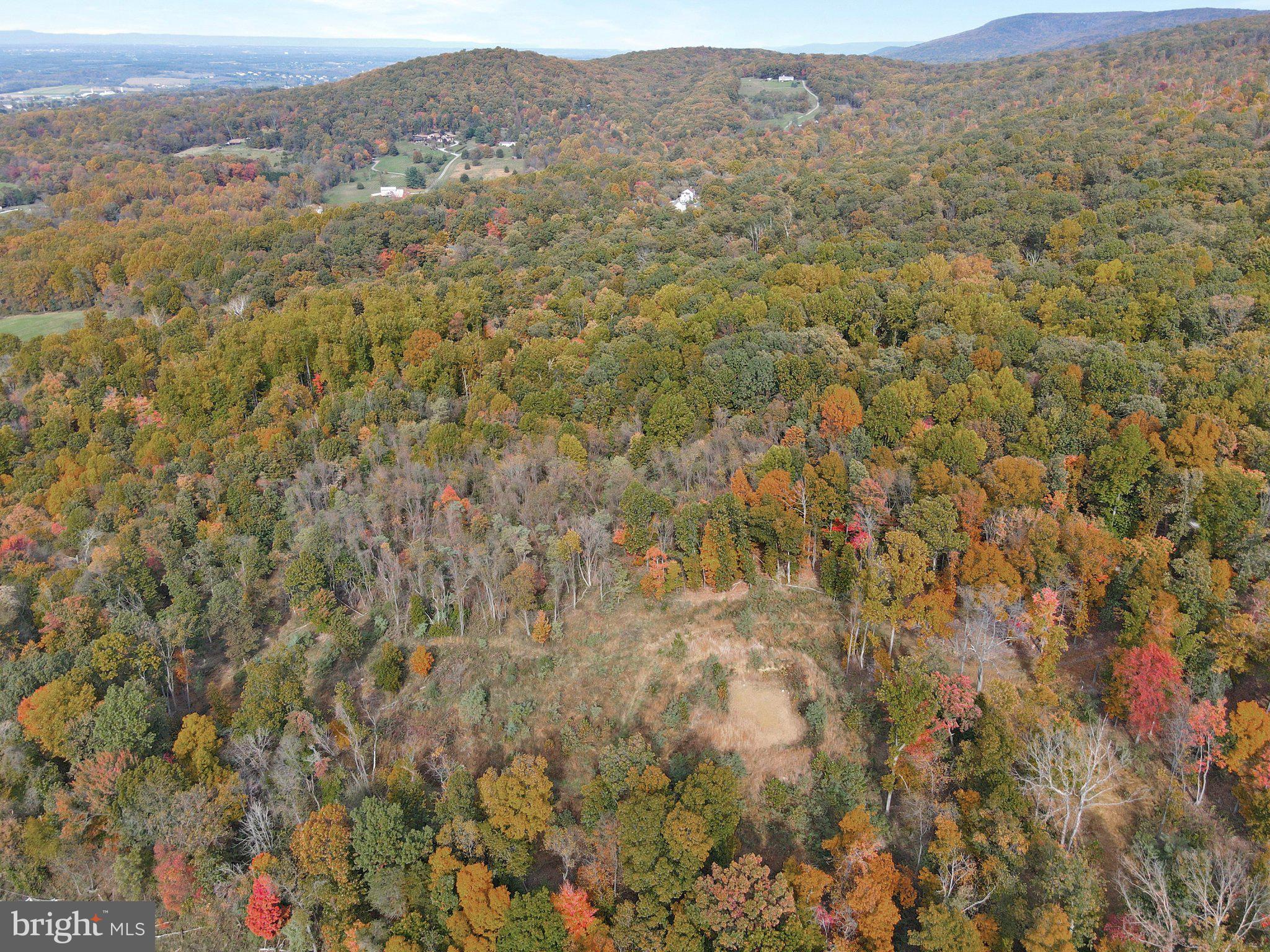7060 Gilardi Road Boonsboro, MD 21713 - Photo 92 of 95