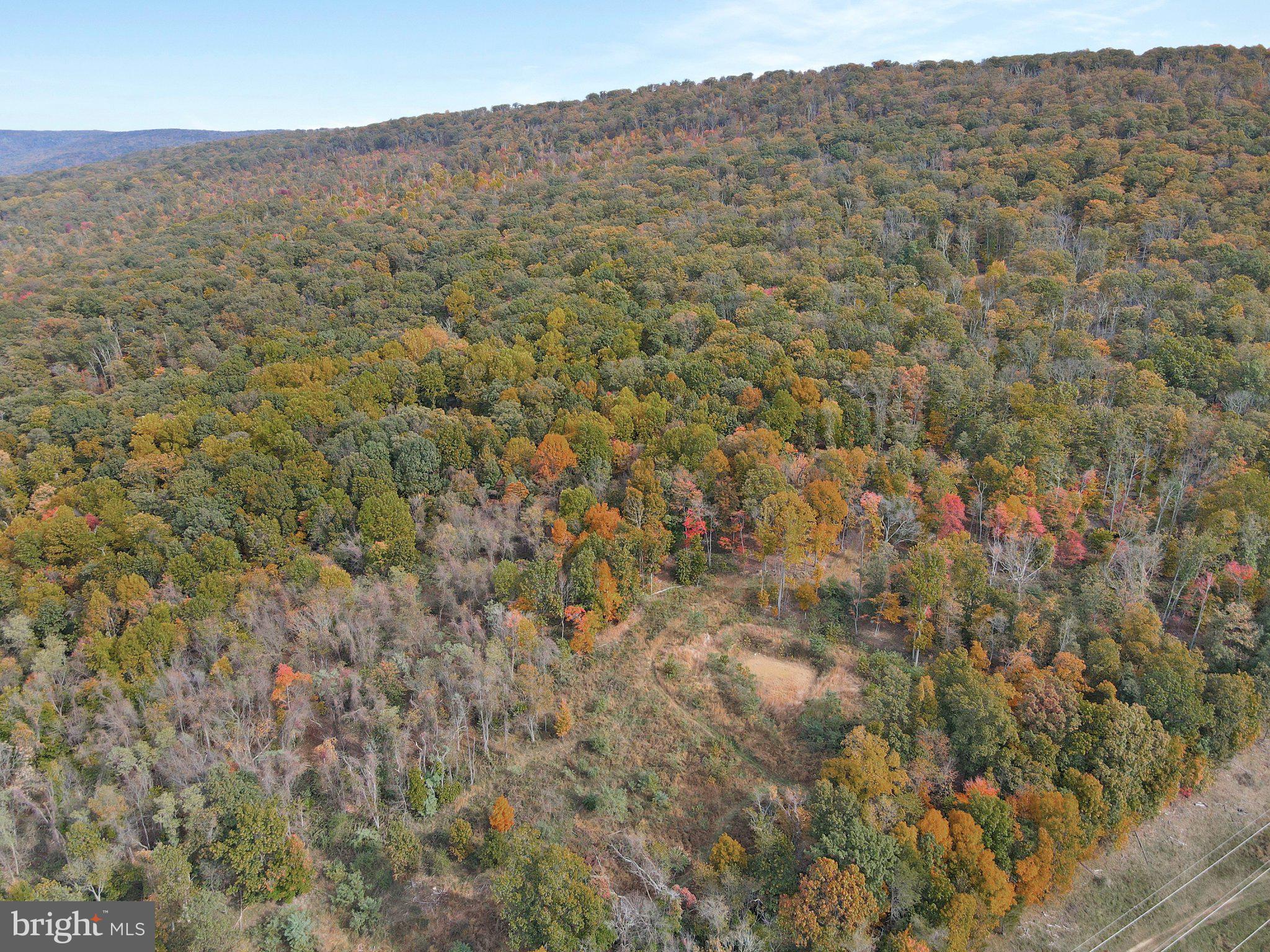 7060 Gilardi Road Boonsboro, MD 21713 - Photo 93 of 95