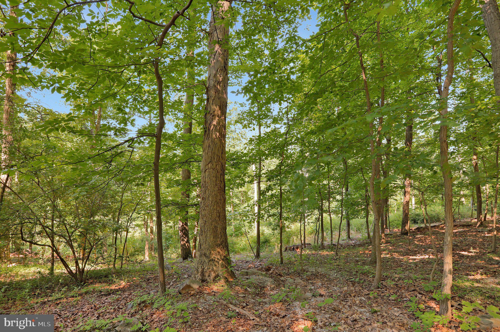 7060 Gilardi Road Boonsboro, MD 21713 - Photo 10 of 95