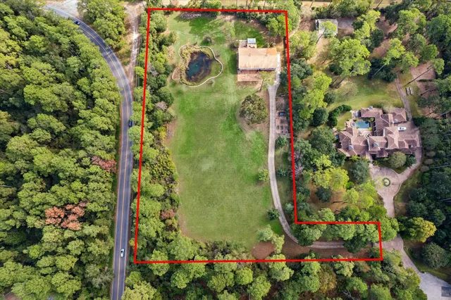 a picture of flowers